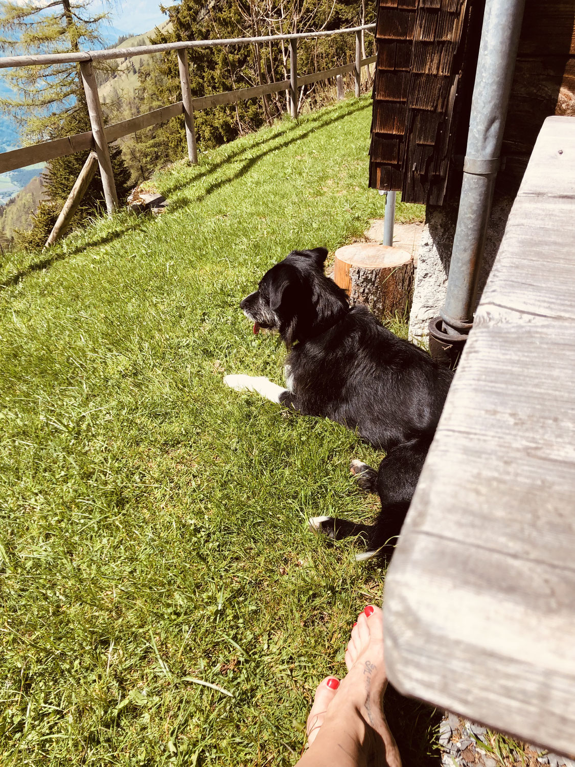 Earthing Meditation