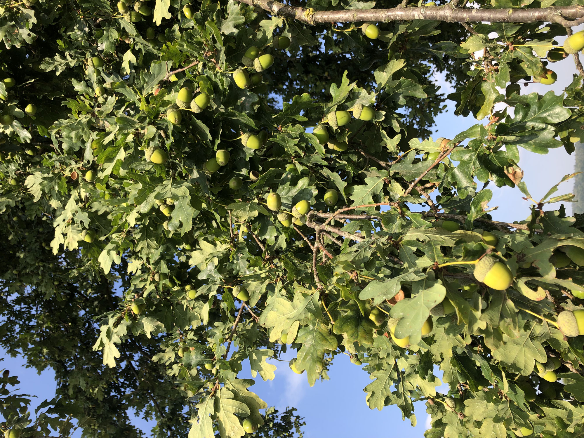 Zeit des Wandels und der Ernte