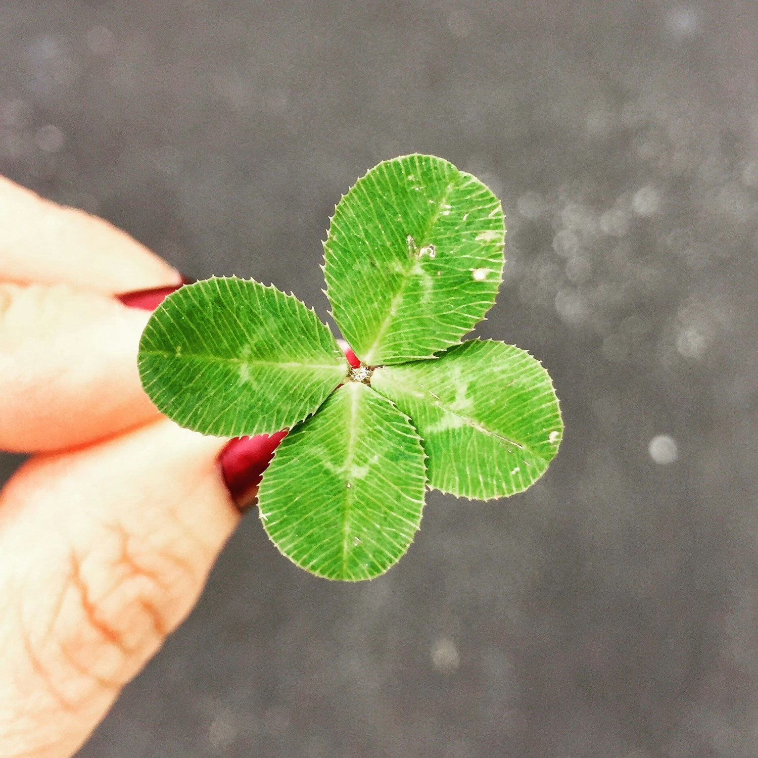 運勢が変わってきた感じがする？