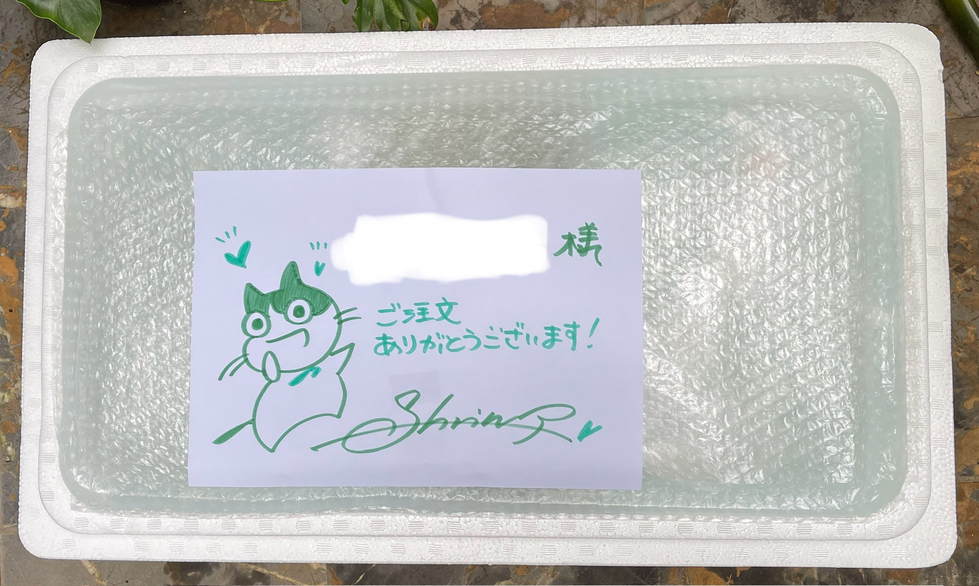 ダイノス対策（備忘録）