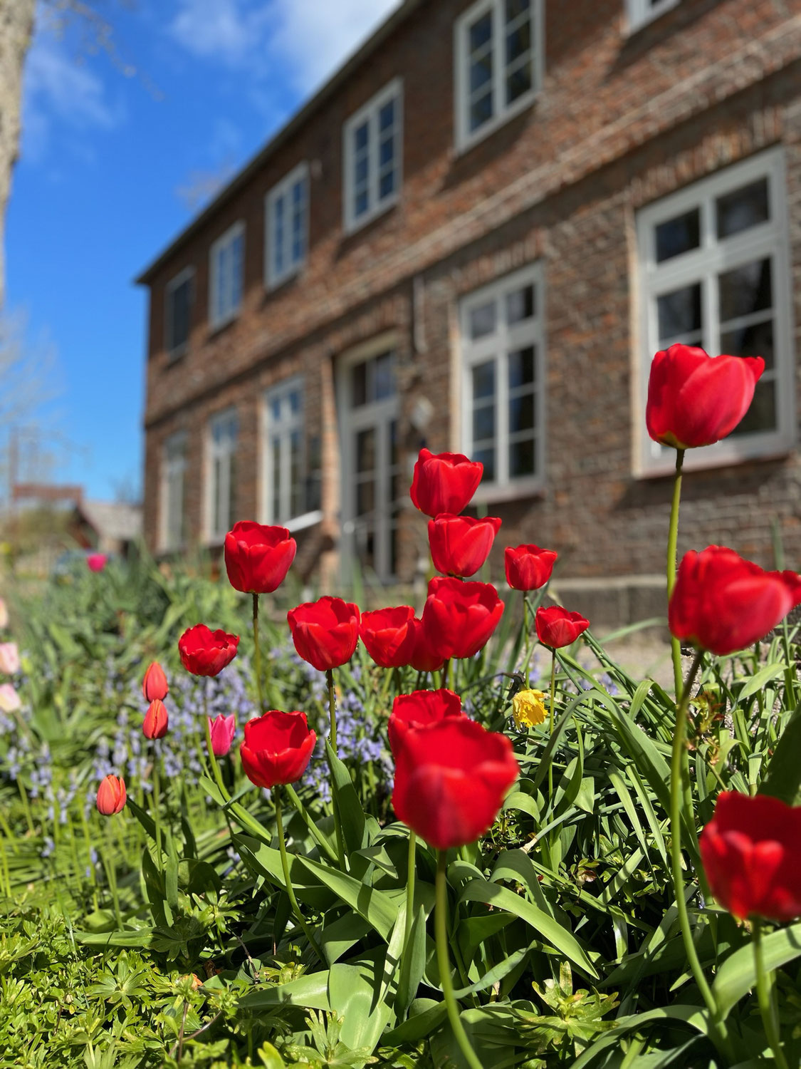 DER FRÜHLING NIMMT FAHRT AUF