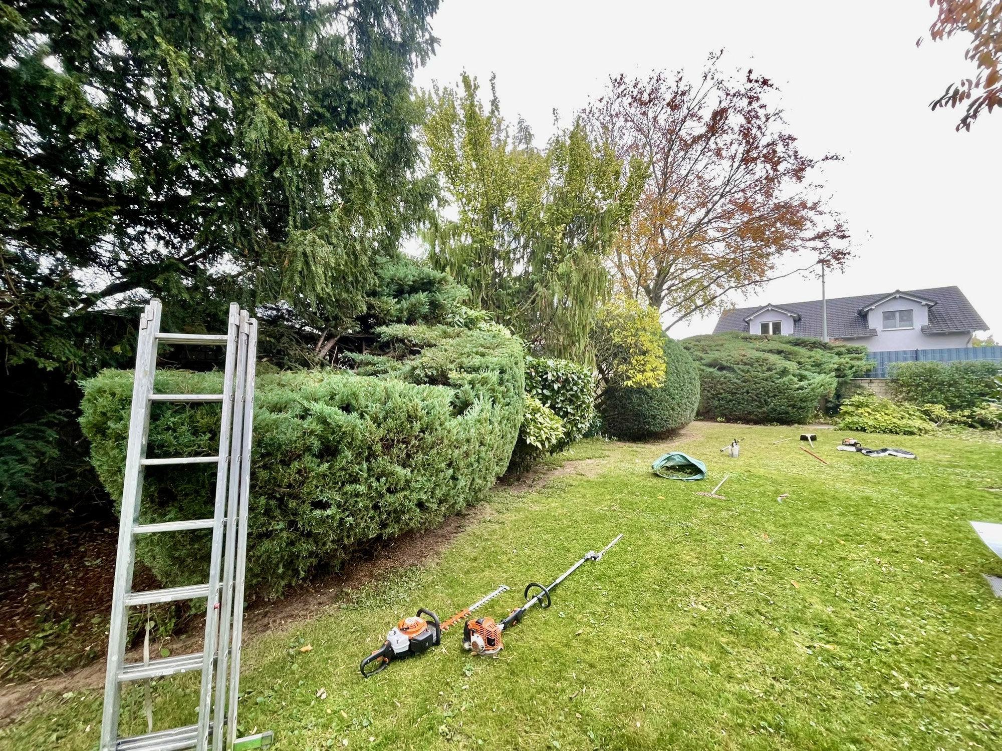 Gartenpflege vom Profi