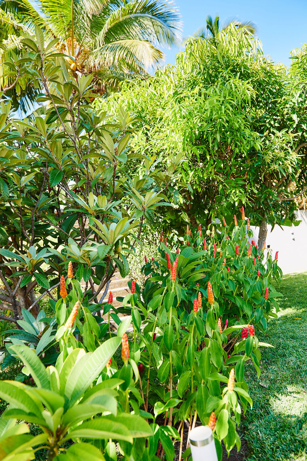 Contact Site de lavillapailleenqueue