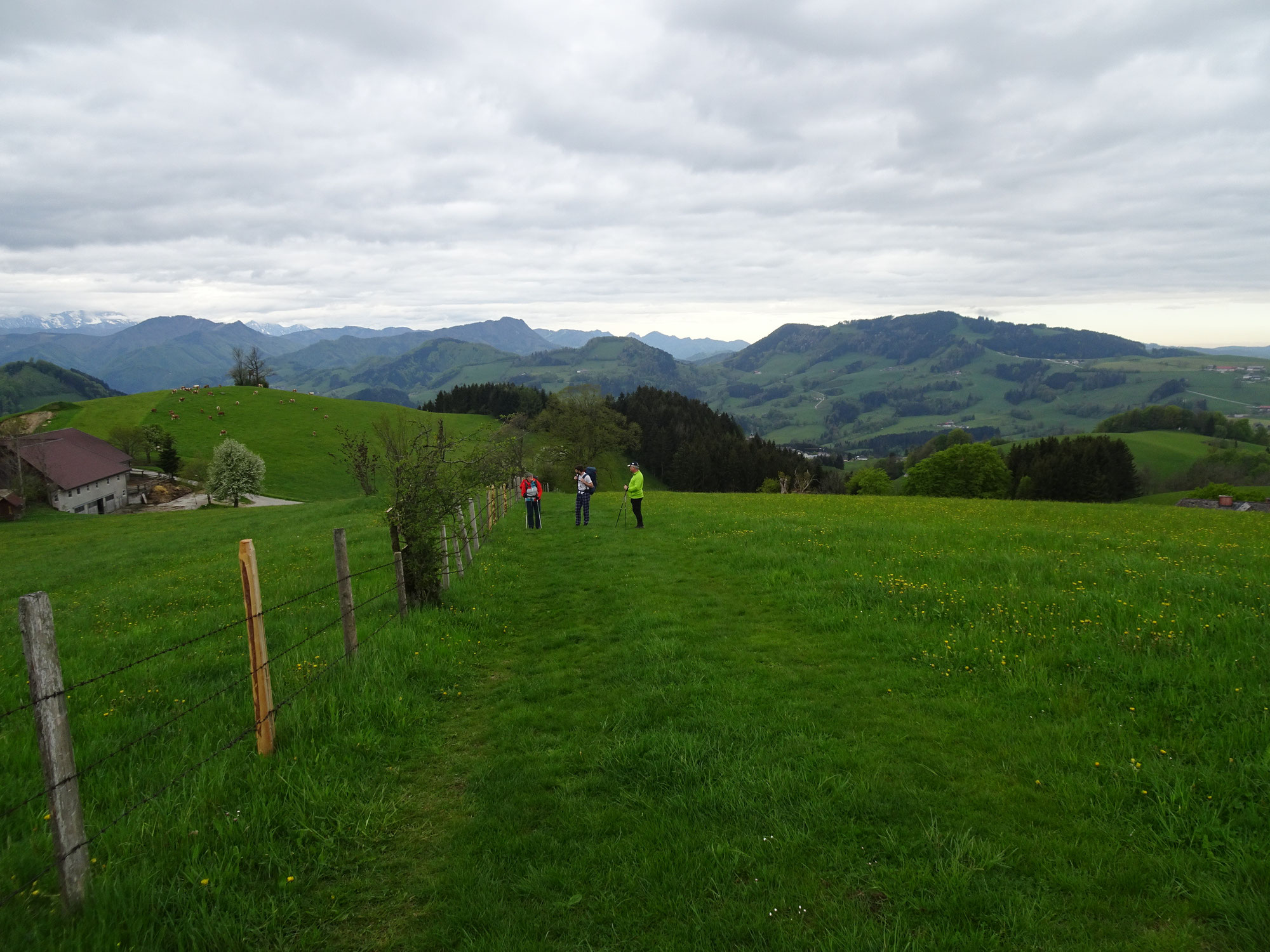 3. Tag: Maria-Neustift - Amstettnerhütte 23km