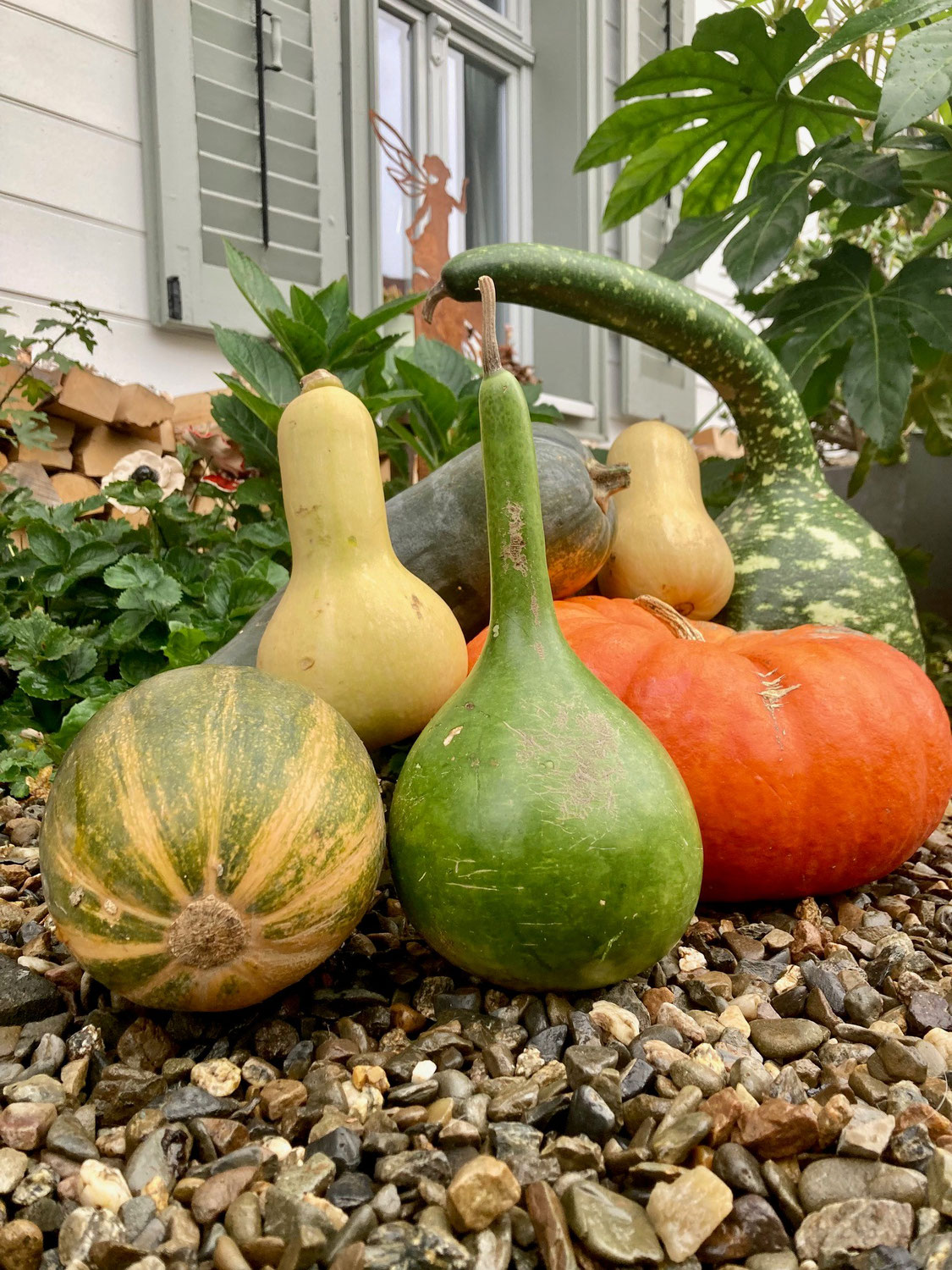 Herbstzeit ist Kürbiszeit