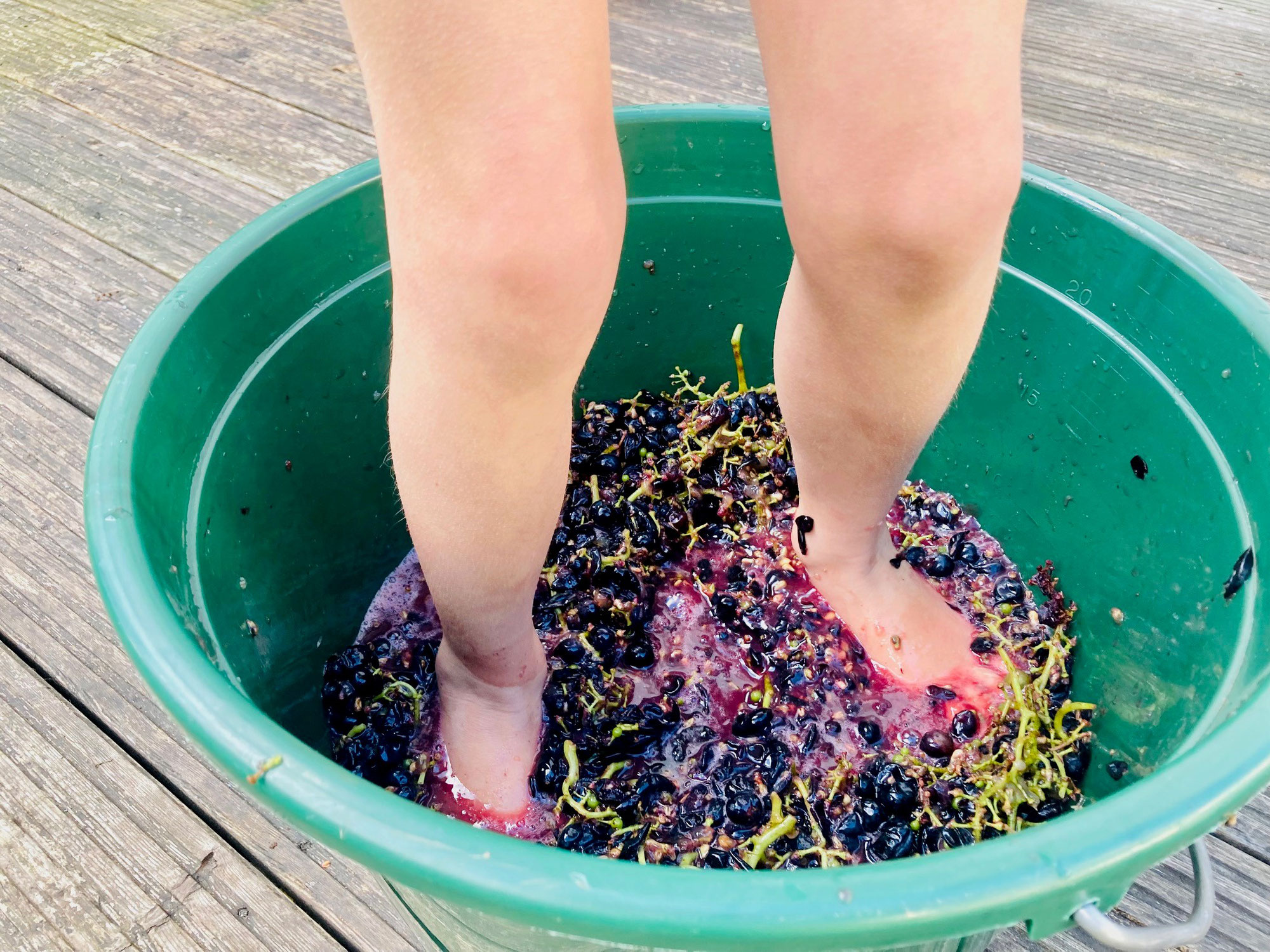 Rotwein 2023