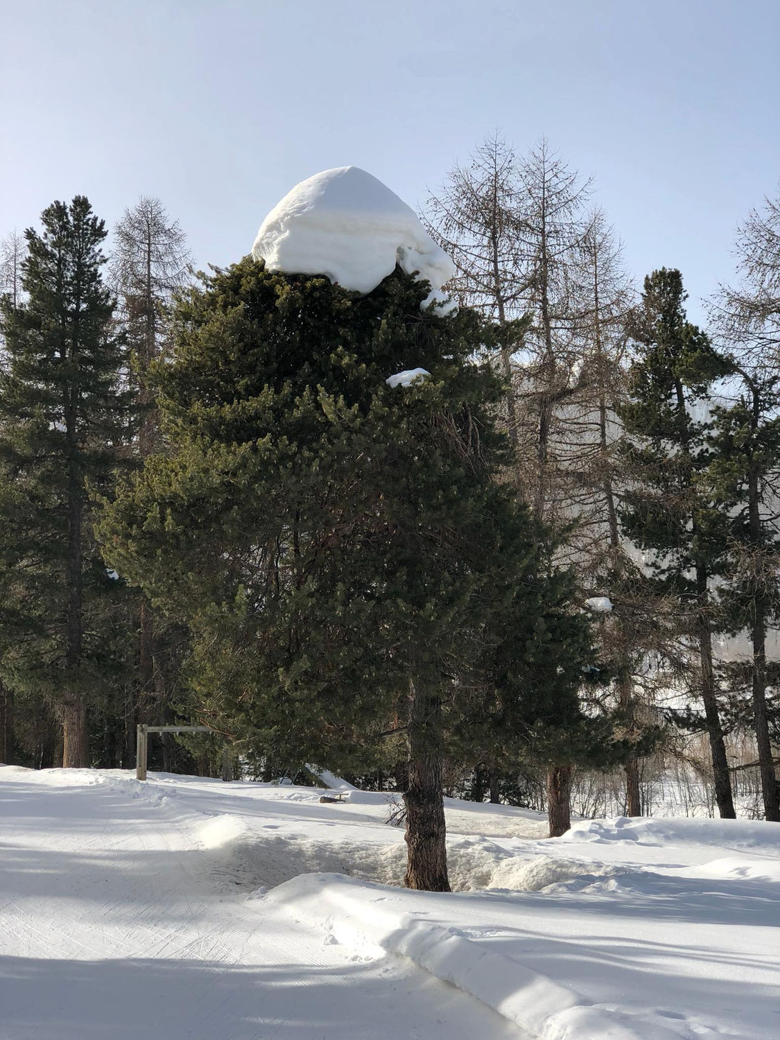 Tagebucheintrag: Blog über Hochbegabung gefunden
