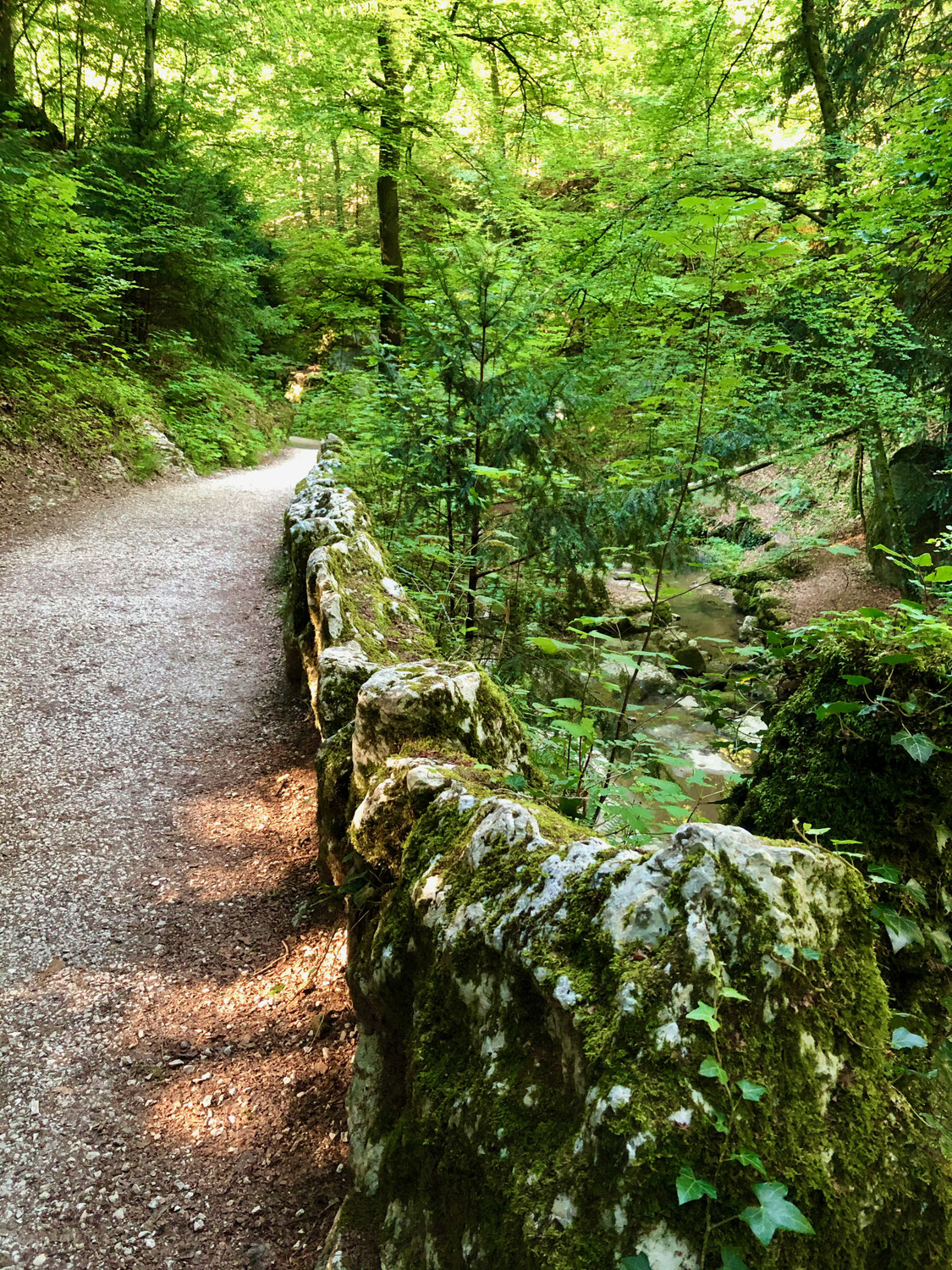 Hochbegabung und die Welt
