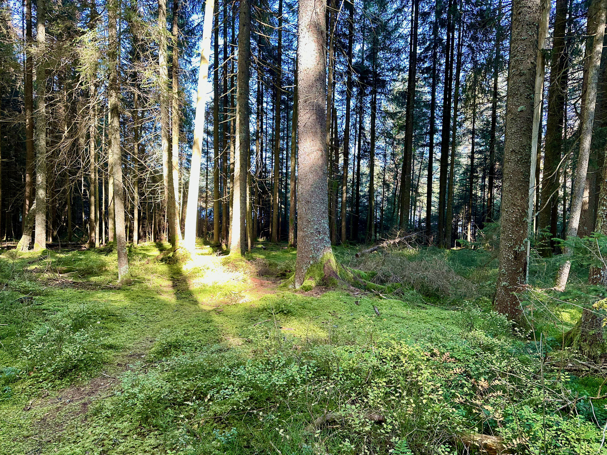 Wie geschieht Heilung?