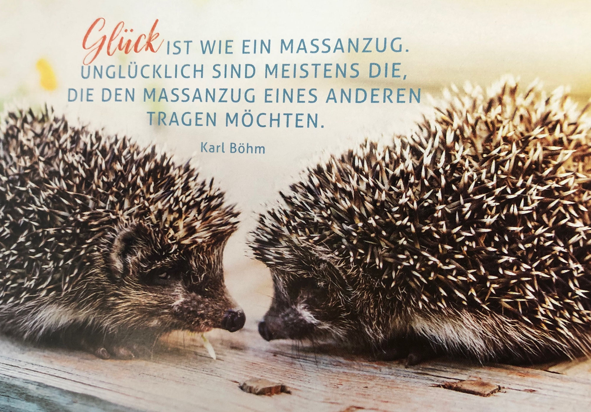 Systemische Arbeit