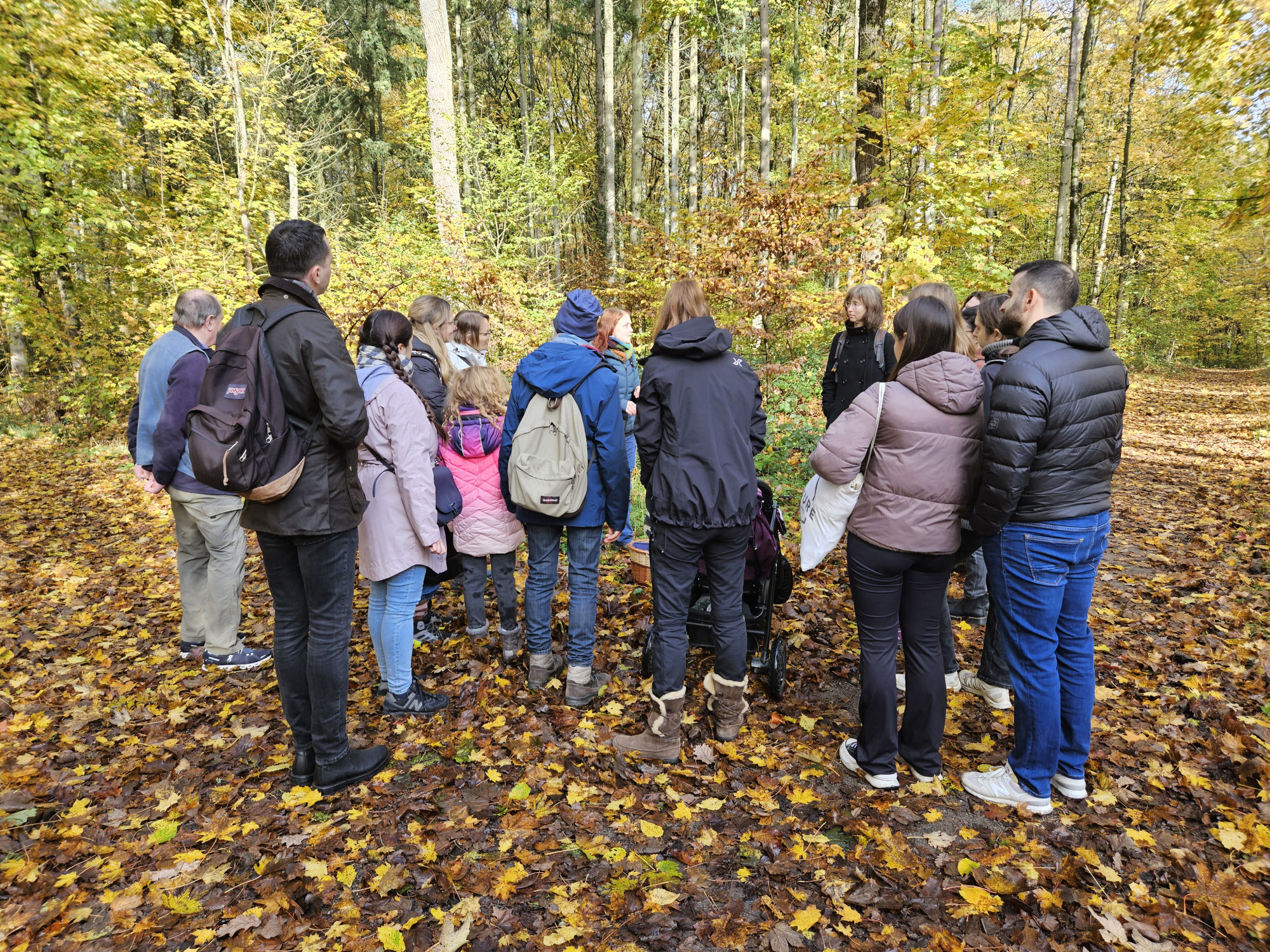 Pilzexkursion im Frankfurter Oberwald