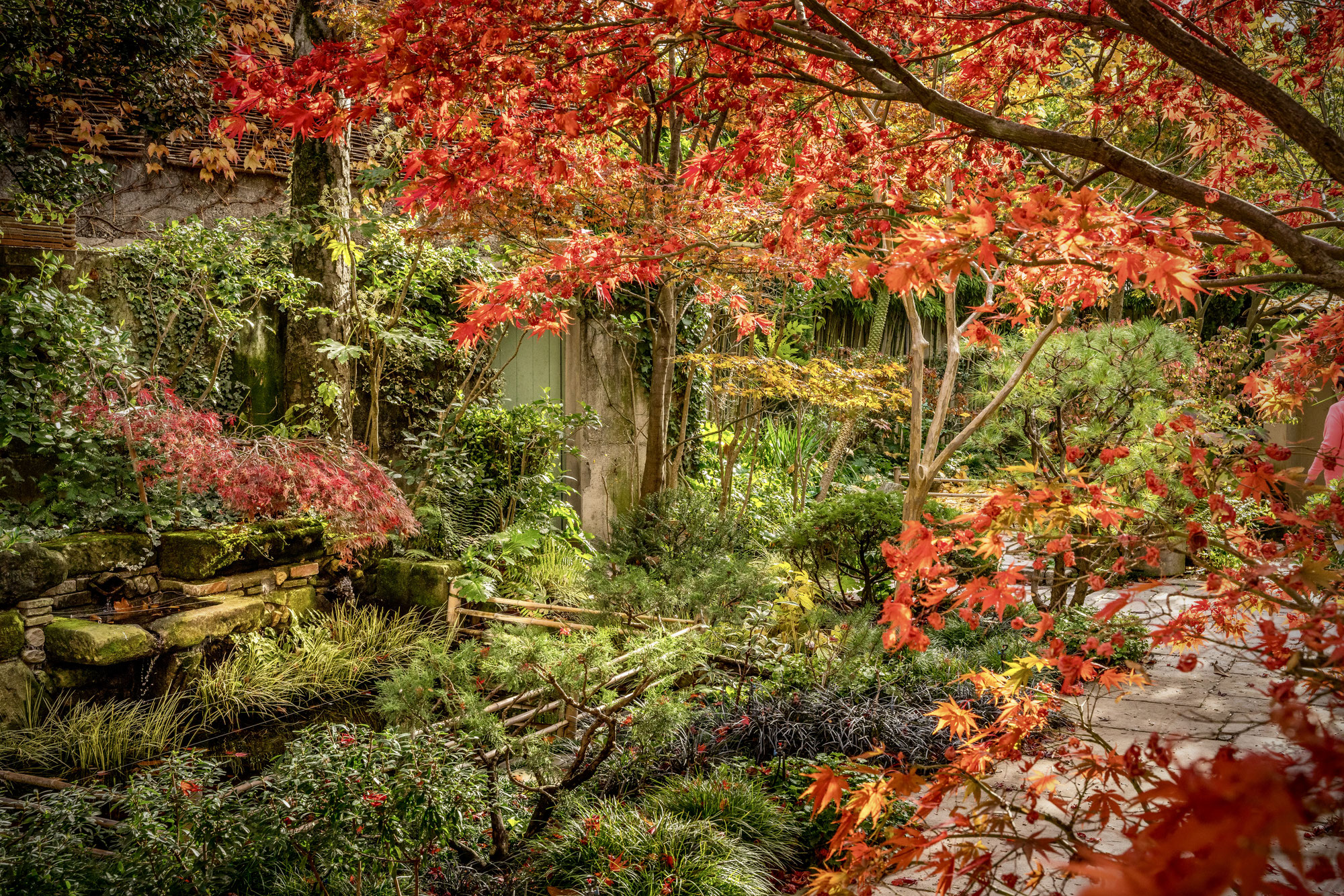 CREATION - Le Jardin secret