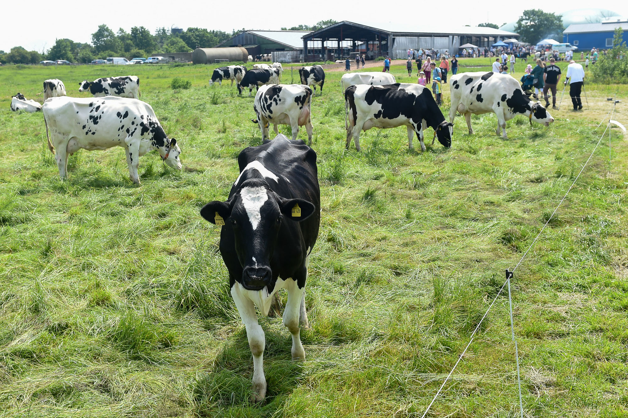 Meyn Hof: Landwirtschaft hautnah
