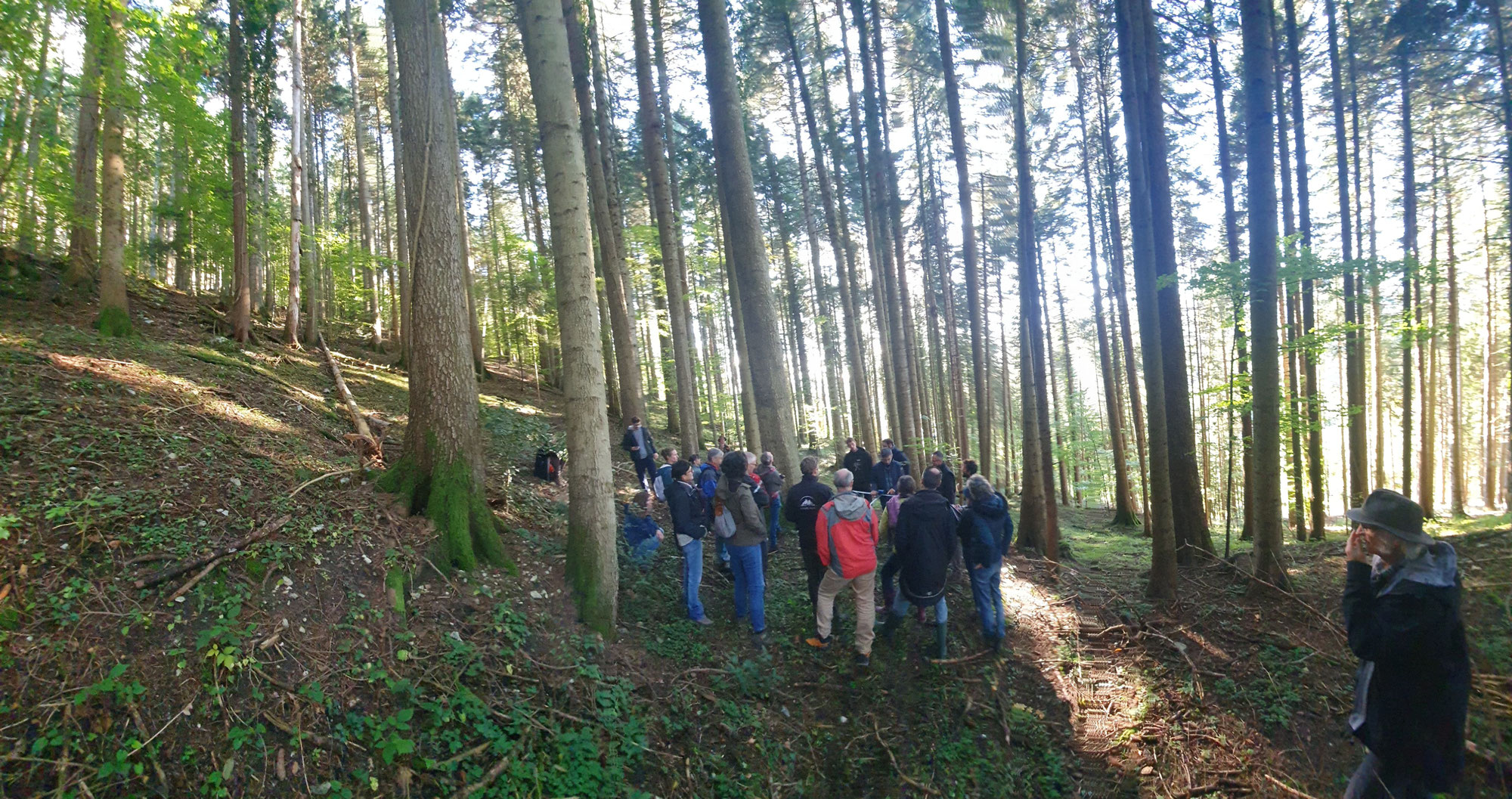 Avenir Forêt a participé aux rencontres des CFE dans le Vercors