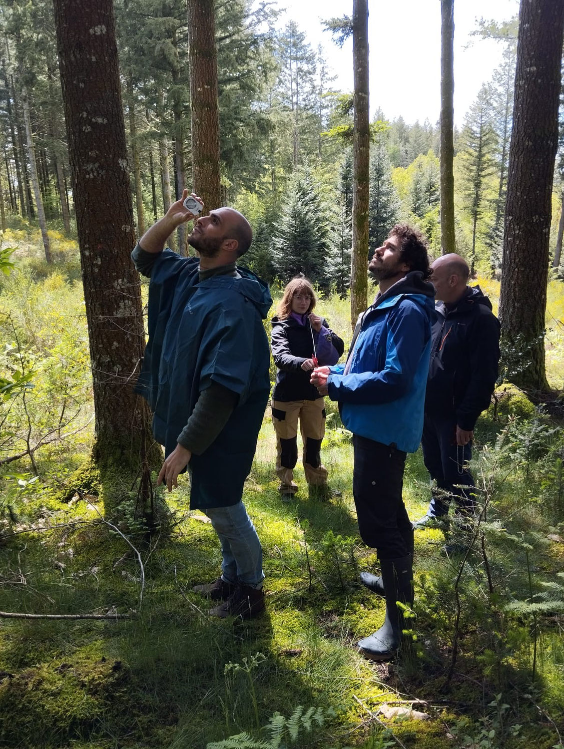 Quatre sessions de formation Avenir Forêt ont eu lieu à Eyrein en mai-juin 2024