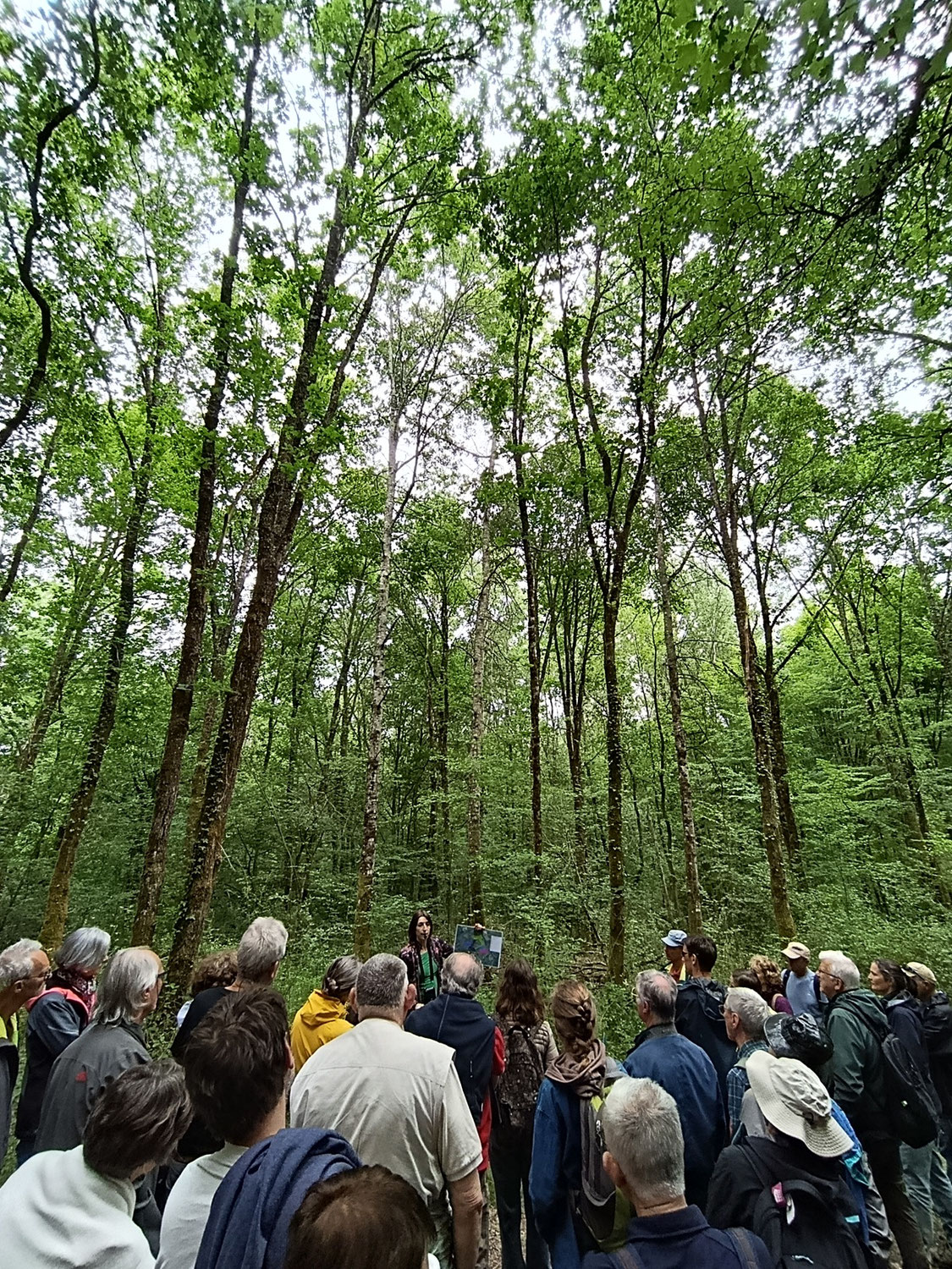 Avenir Forêt rassemble 60 personnes pour son rassemblement annuel 2026 en Dordogne