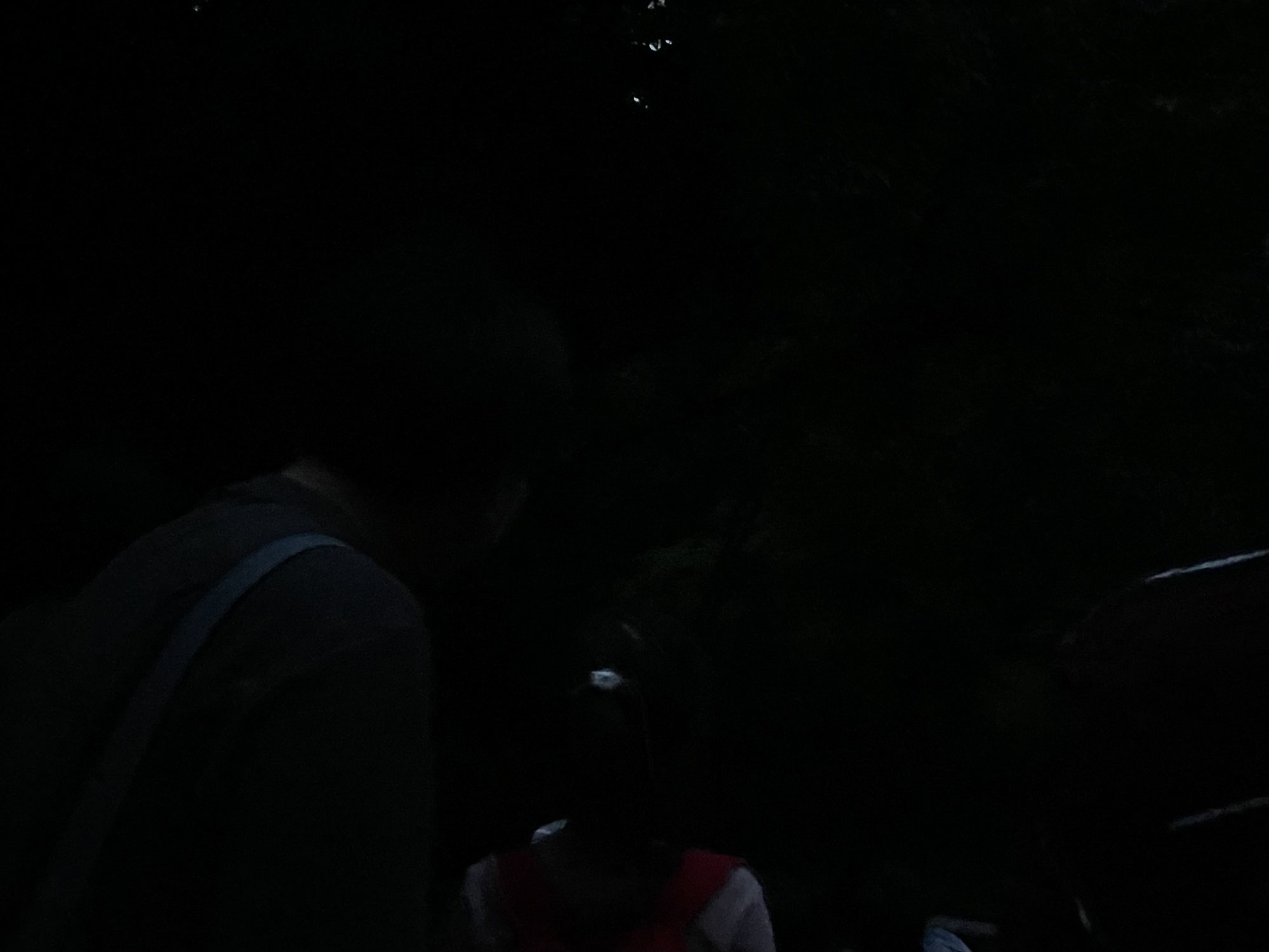 座間谷戸山公園ホタルツアーを開催します！