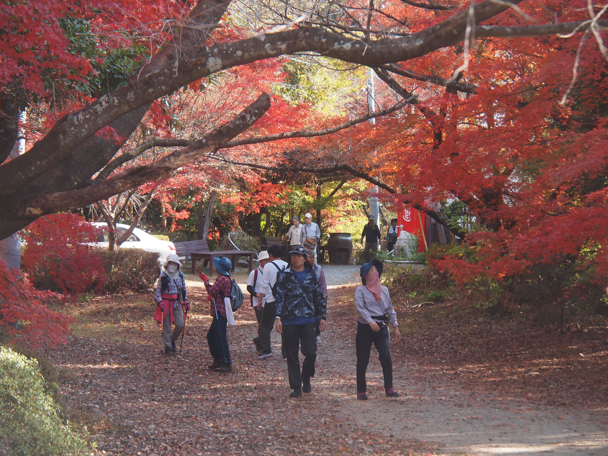 第２３回清水山もみじウォーク　１１月２３日