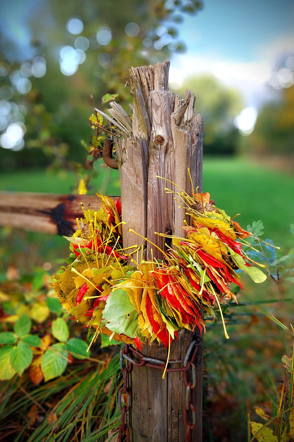 Herbstlicher Blätterkranz