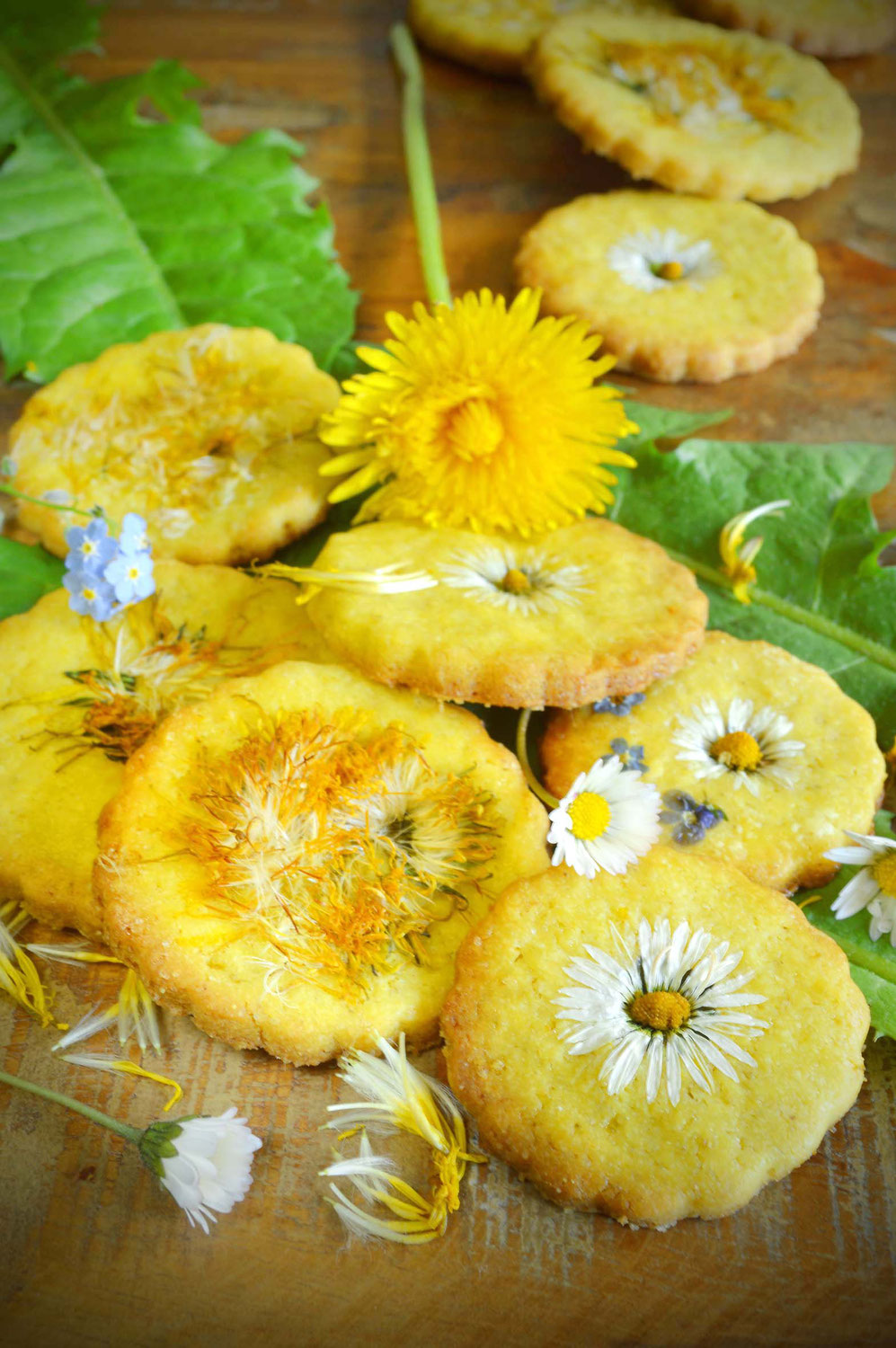 Löwenzahn-Cookies mit Löwenzahnblütenzucker / Dandelion Cookies with Dandelion Blossom Sugar