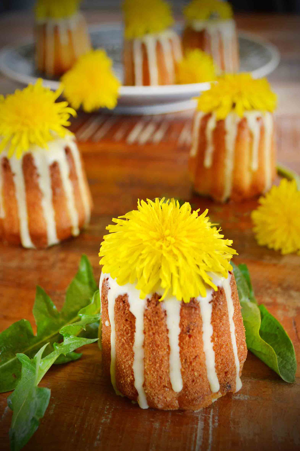 Magische Löwenzahn-Zitronen-Törtchen/ Magical dandelion and lemon tartlets