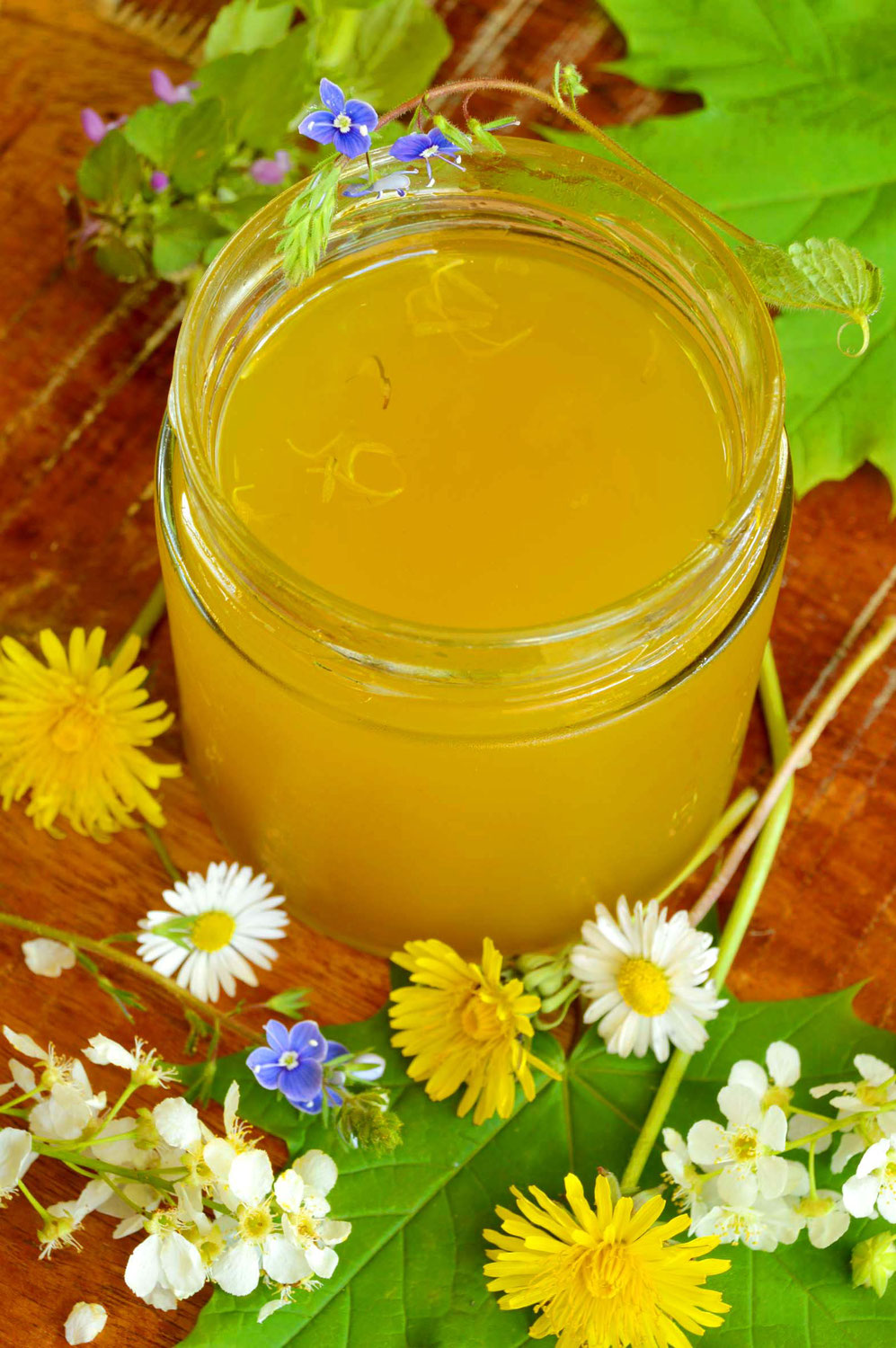 Maiblüten-Gelee / May Blossom Jelly