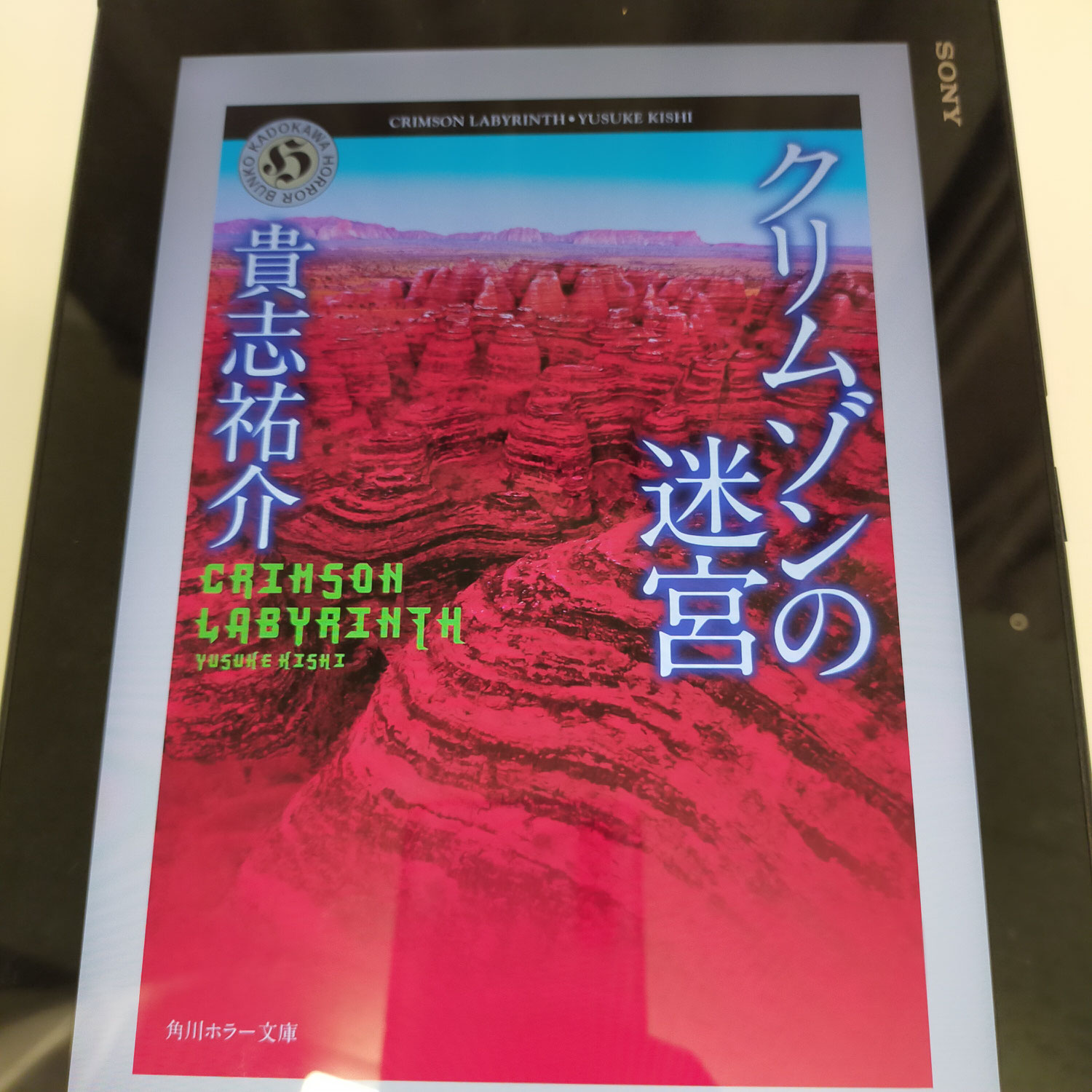 お客様の推薦本読みました：RPGゲームをしているような本