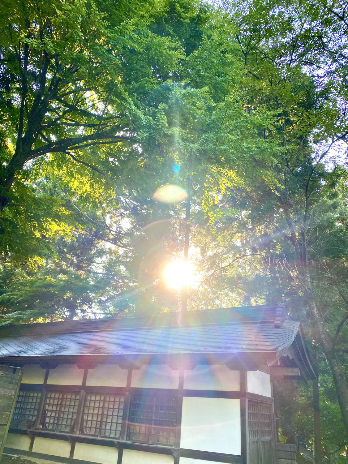 いつまでも大切に