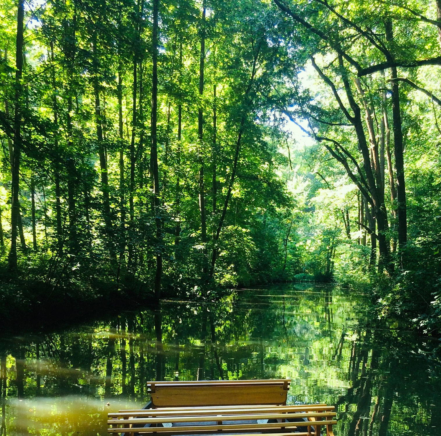 Fontane im Spreewald