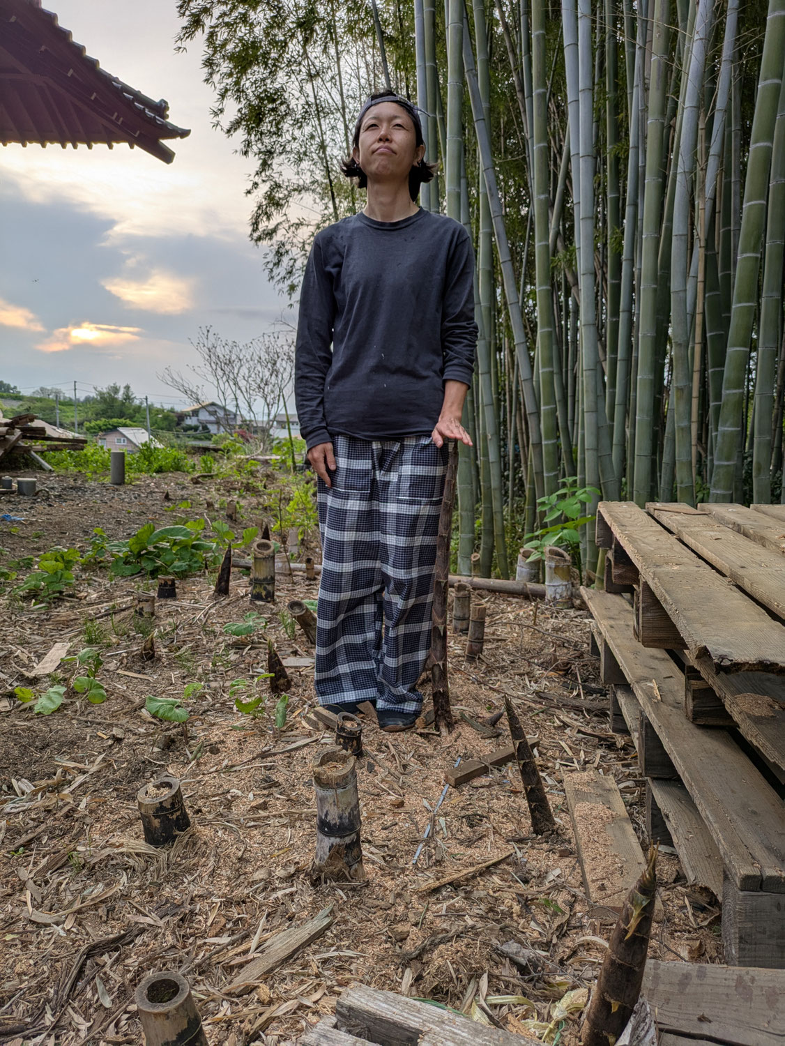 タケノコって無限