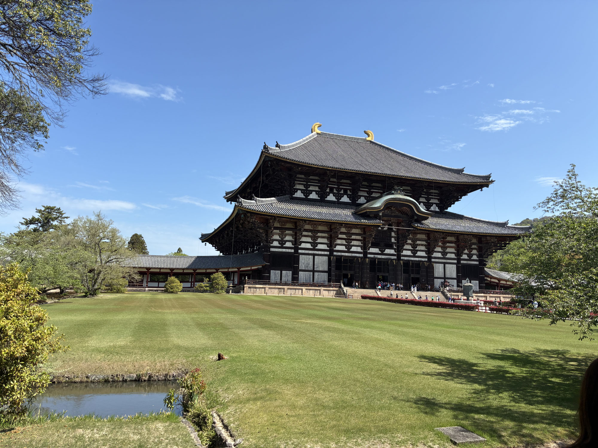 東大寺、奈良公園へ