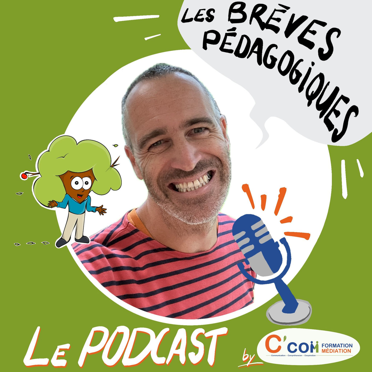 Nouveau : lancement de mon podcast Les Brèves pédagogiques
