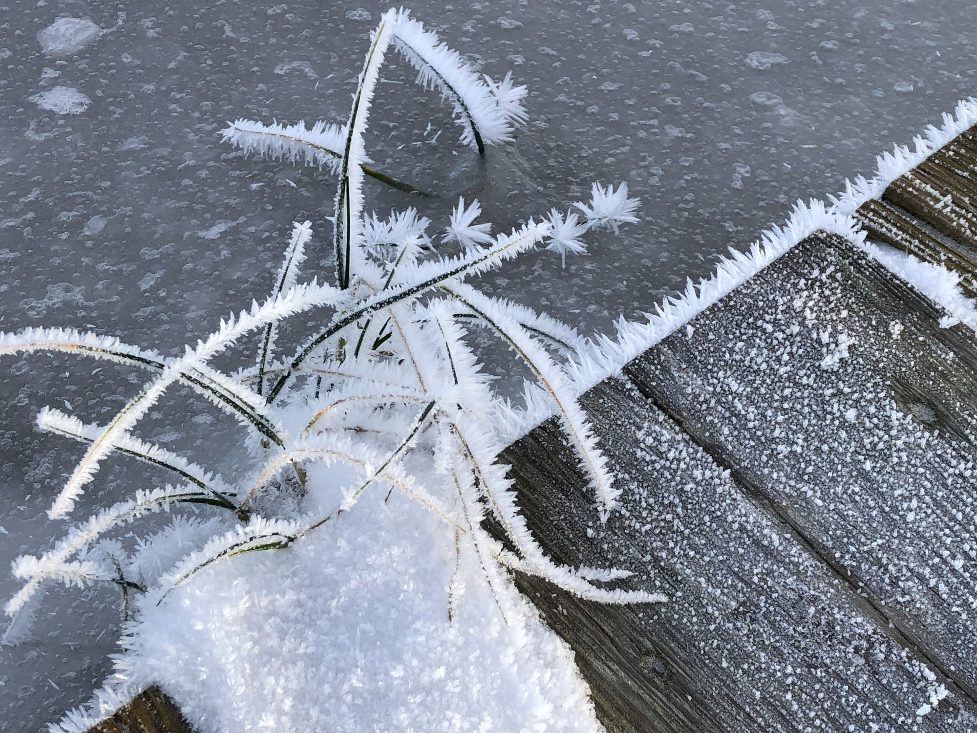 Januar: Winter und Klarheit in der TCM