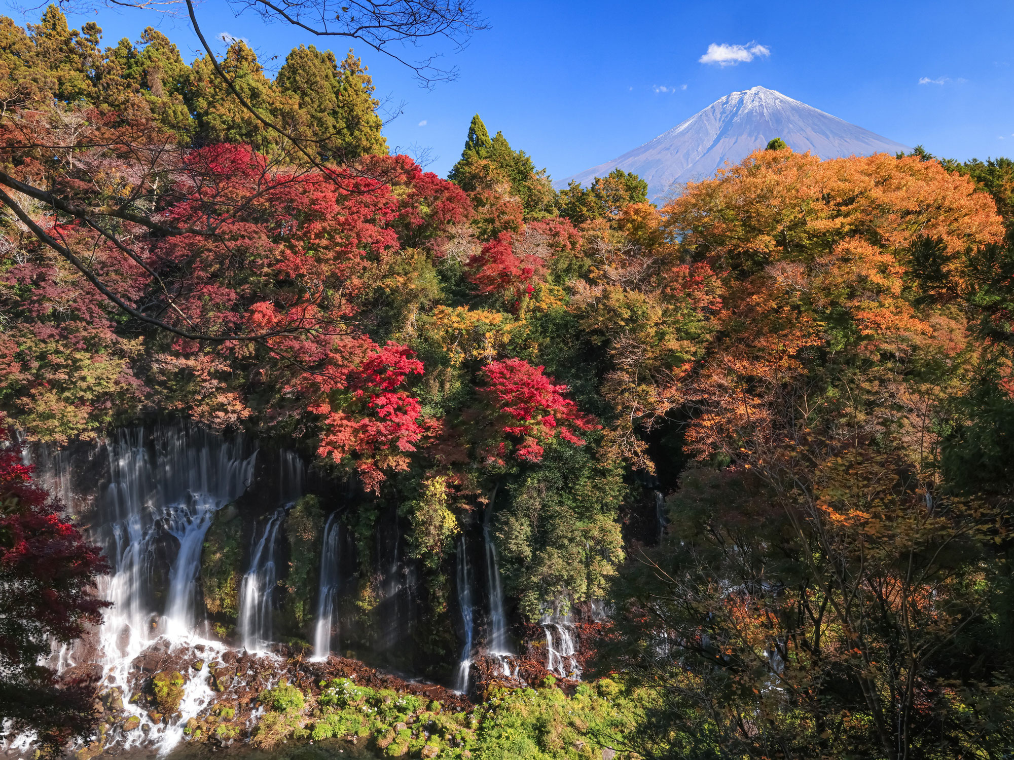 Falling for Japan: Experiencing Autumn in Shizuoka