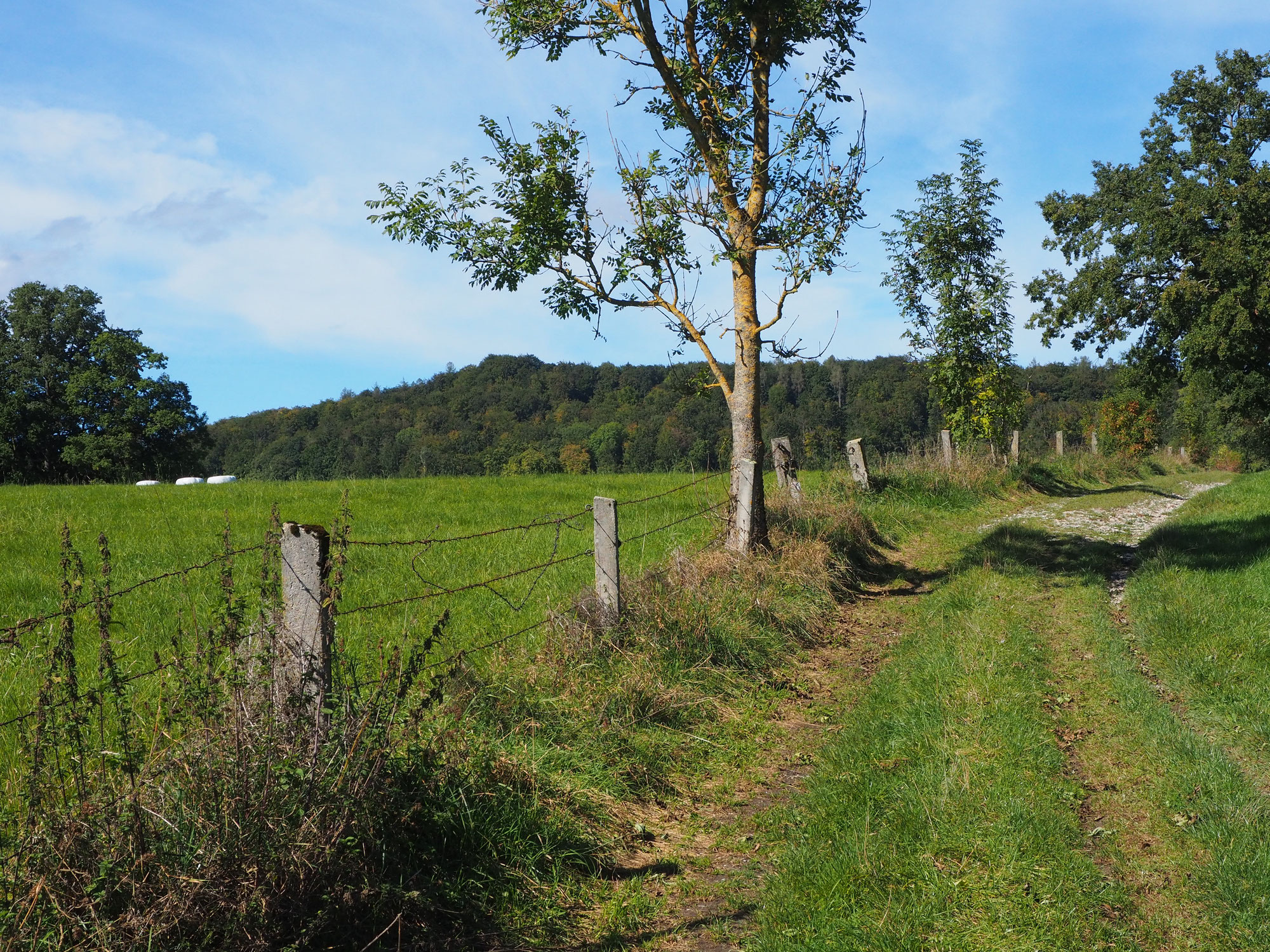 Gemeinsam Wandern im Herbst