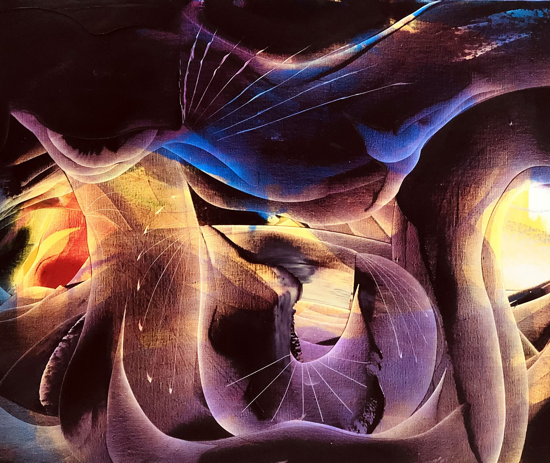 Paz Viola's work concerned itself with dreams, the universe and the void