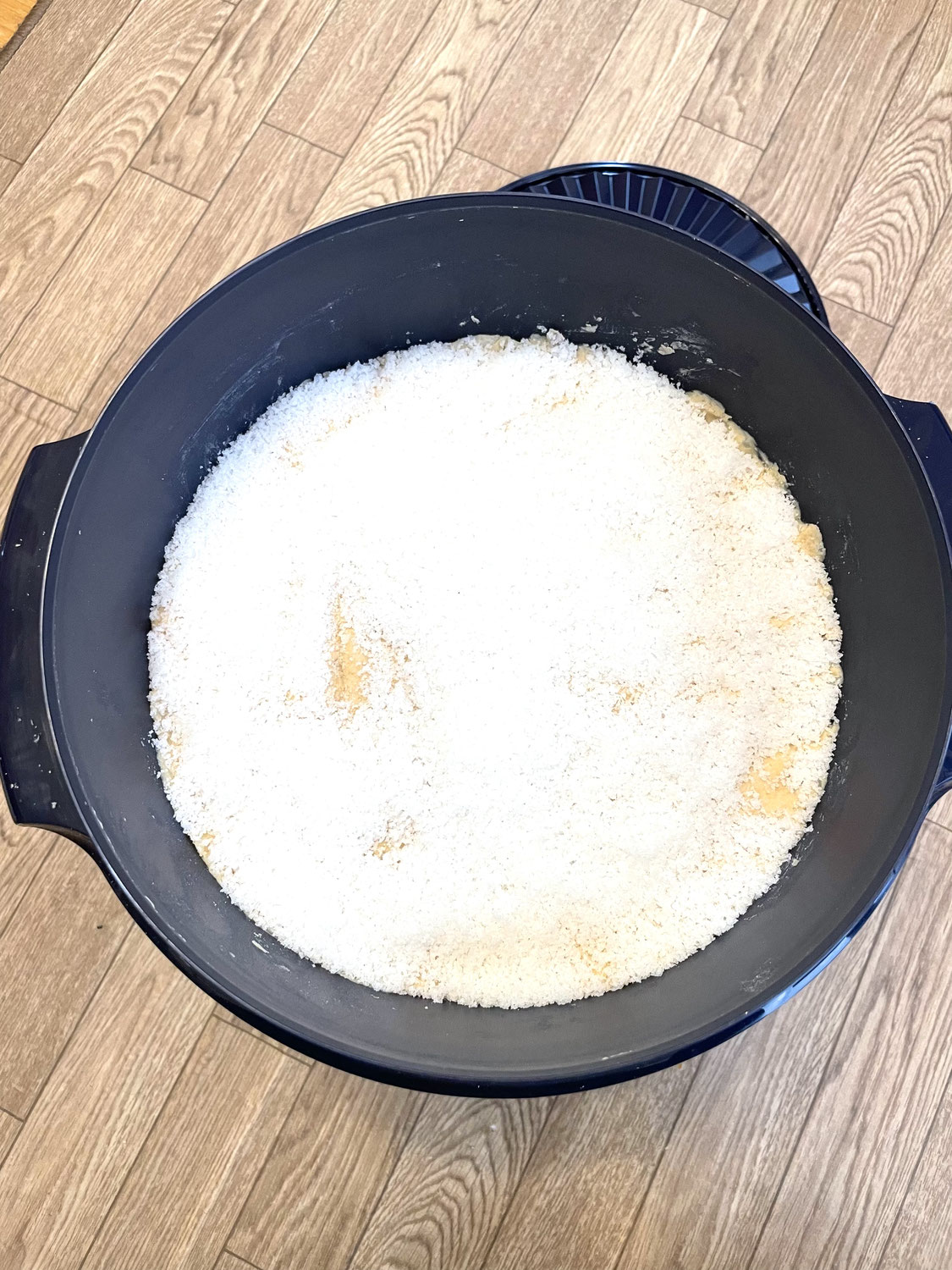 麹菌、死んでる味噌より生きてる味噌が食べたくて