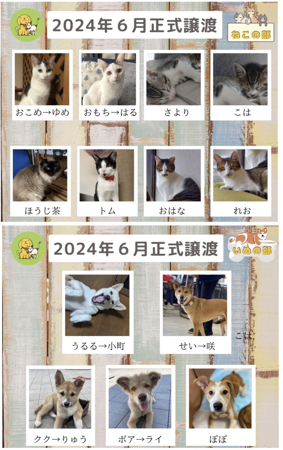 譲渡報告　２０２４年６月