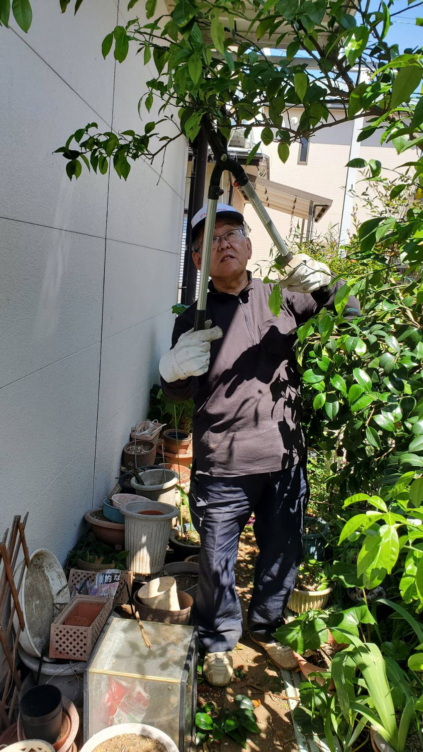倉庫の片付け　庭木の手入れをしました。