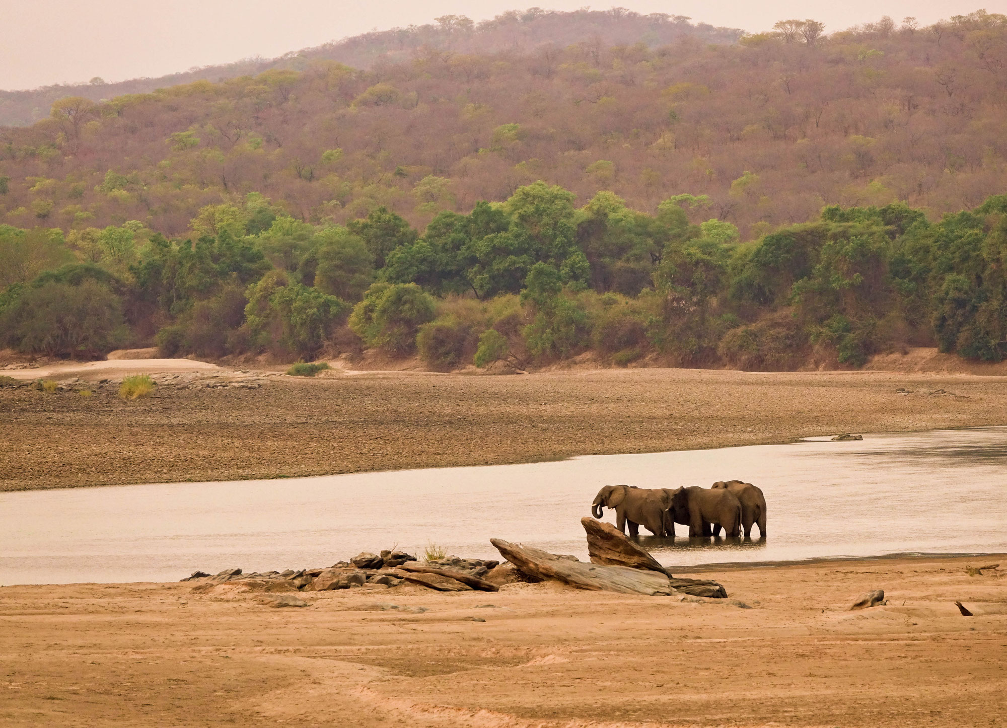 Le rive del Grande Lwangwa