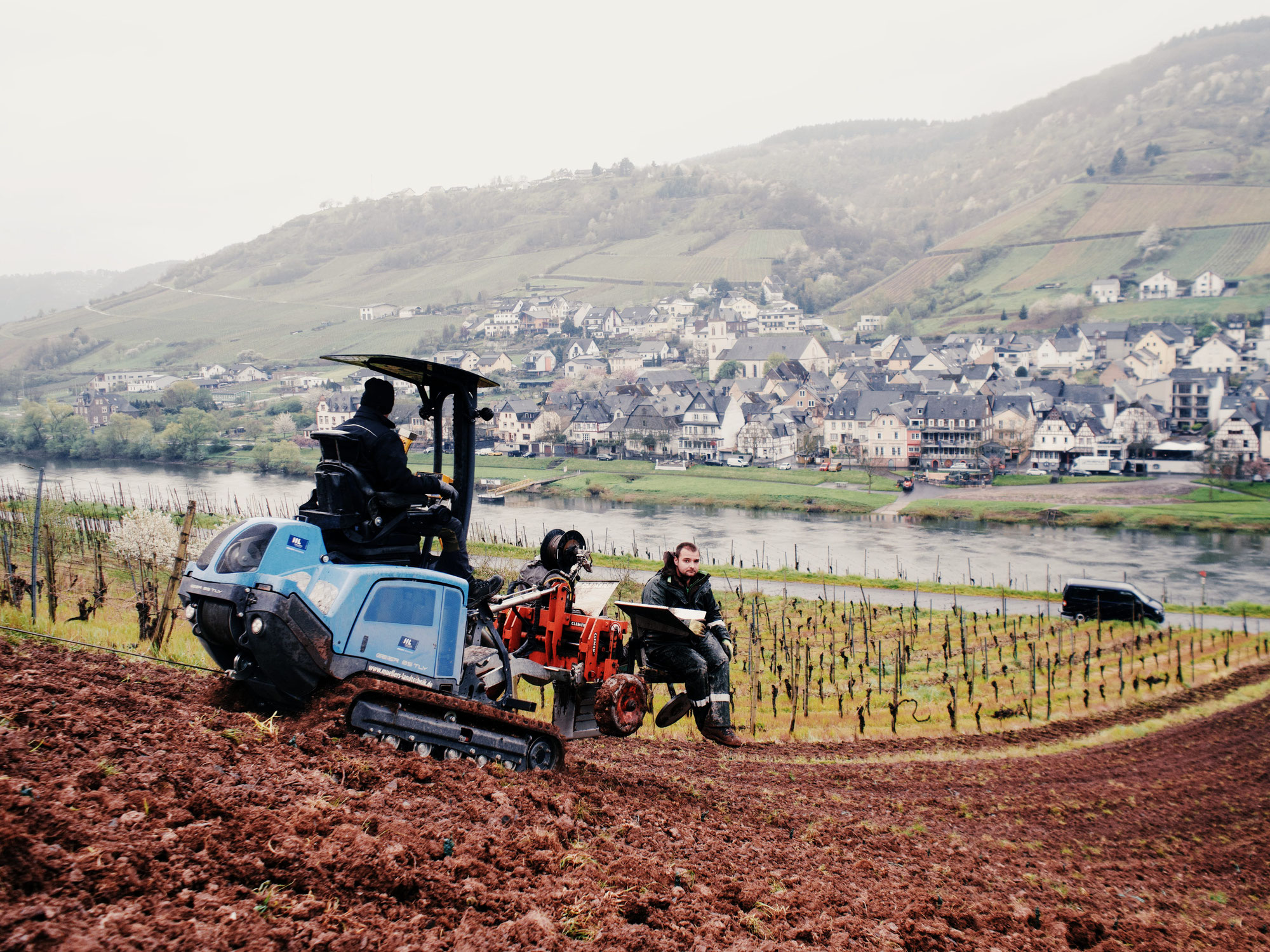 Neue WEINBERGE