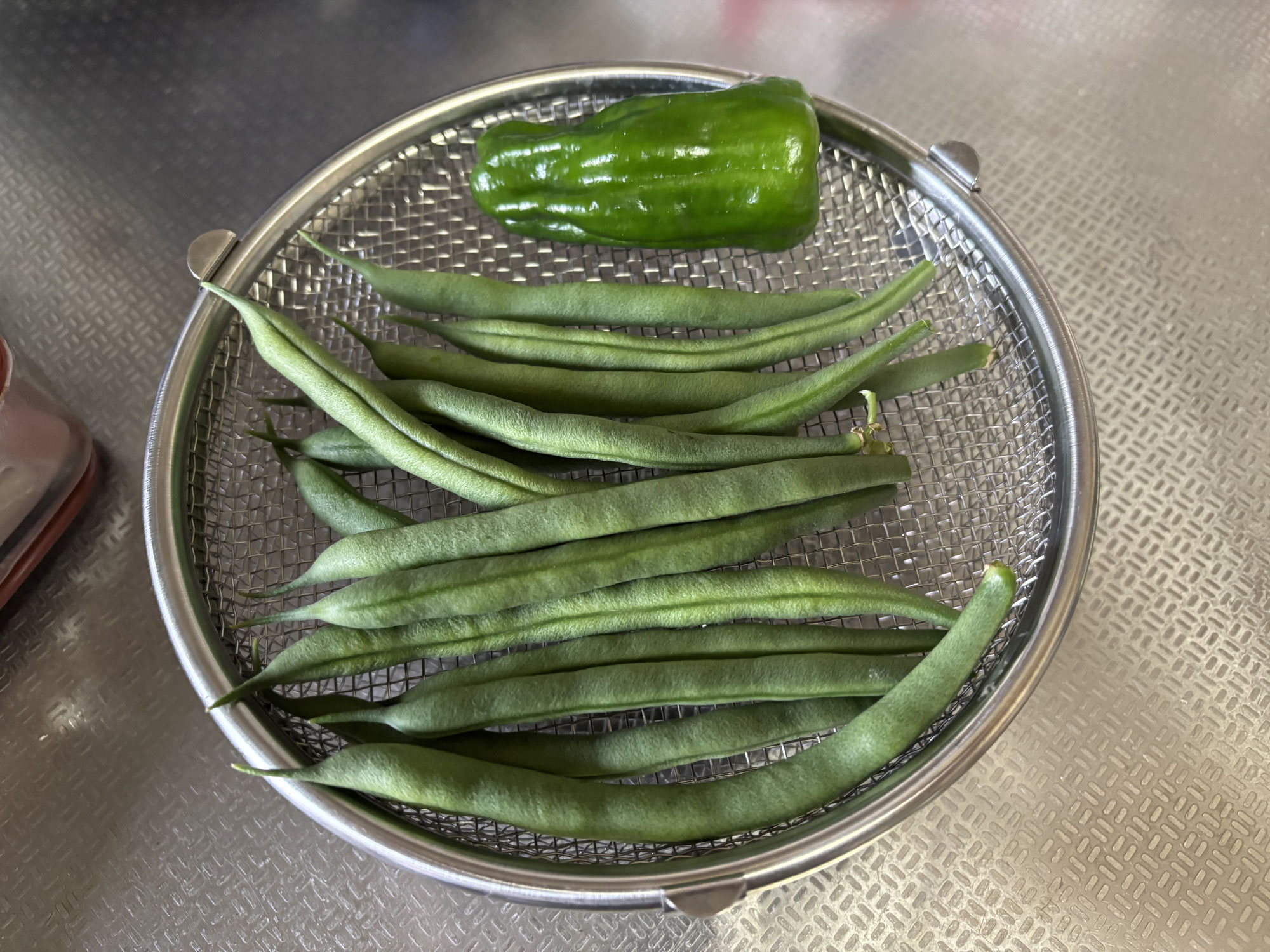野菜苗　初収穫！
