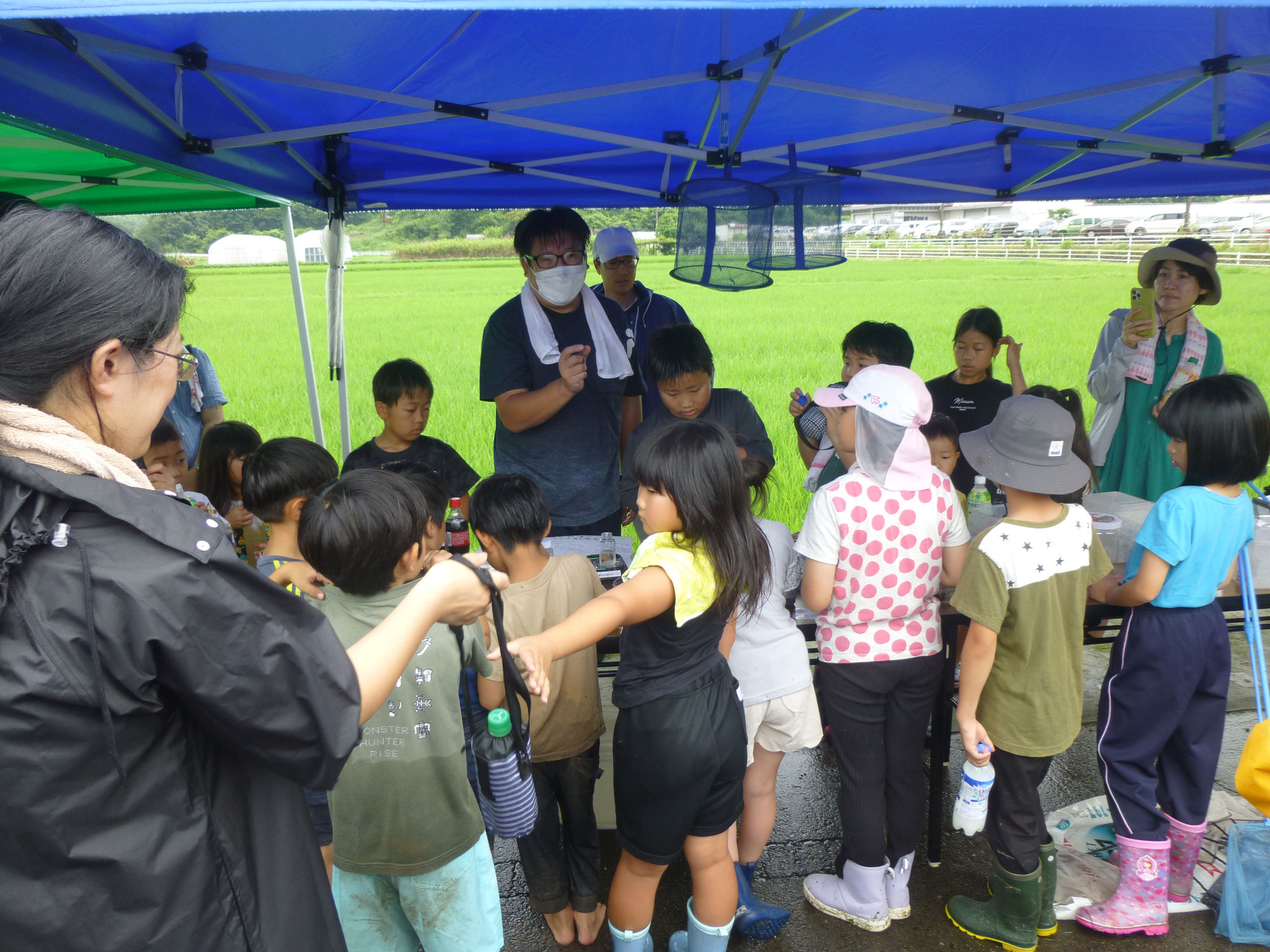 【実施報告】田んぼの生き物調査（さんやほうサポータークラブ✕あさひ夢のまち協議会✕旭ヶ丘ふれあいクラブ）2023/7/9（日）