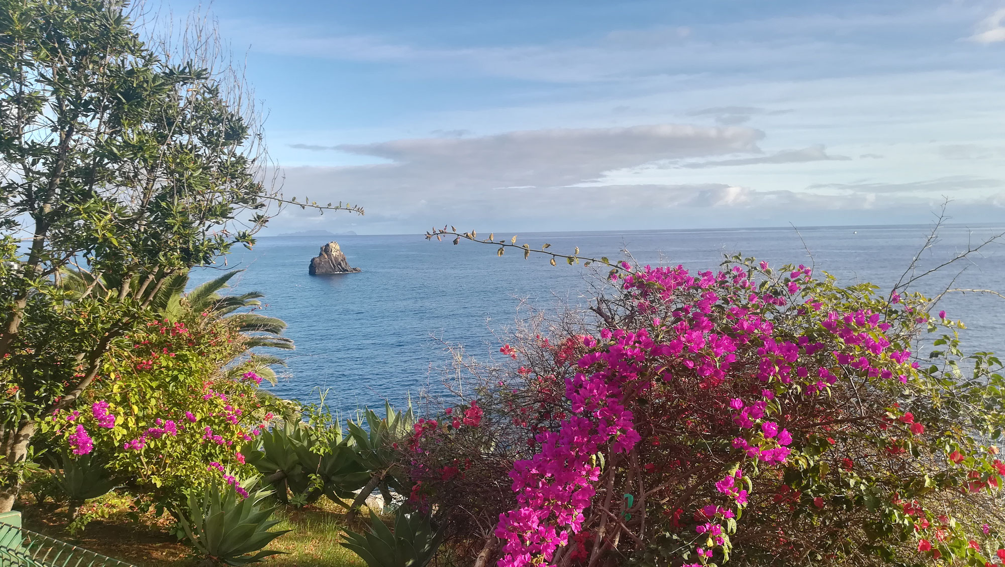 Madeira Urlaub - Norden oder Süden?