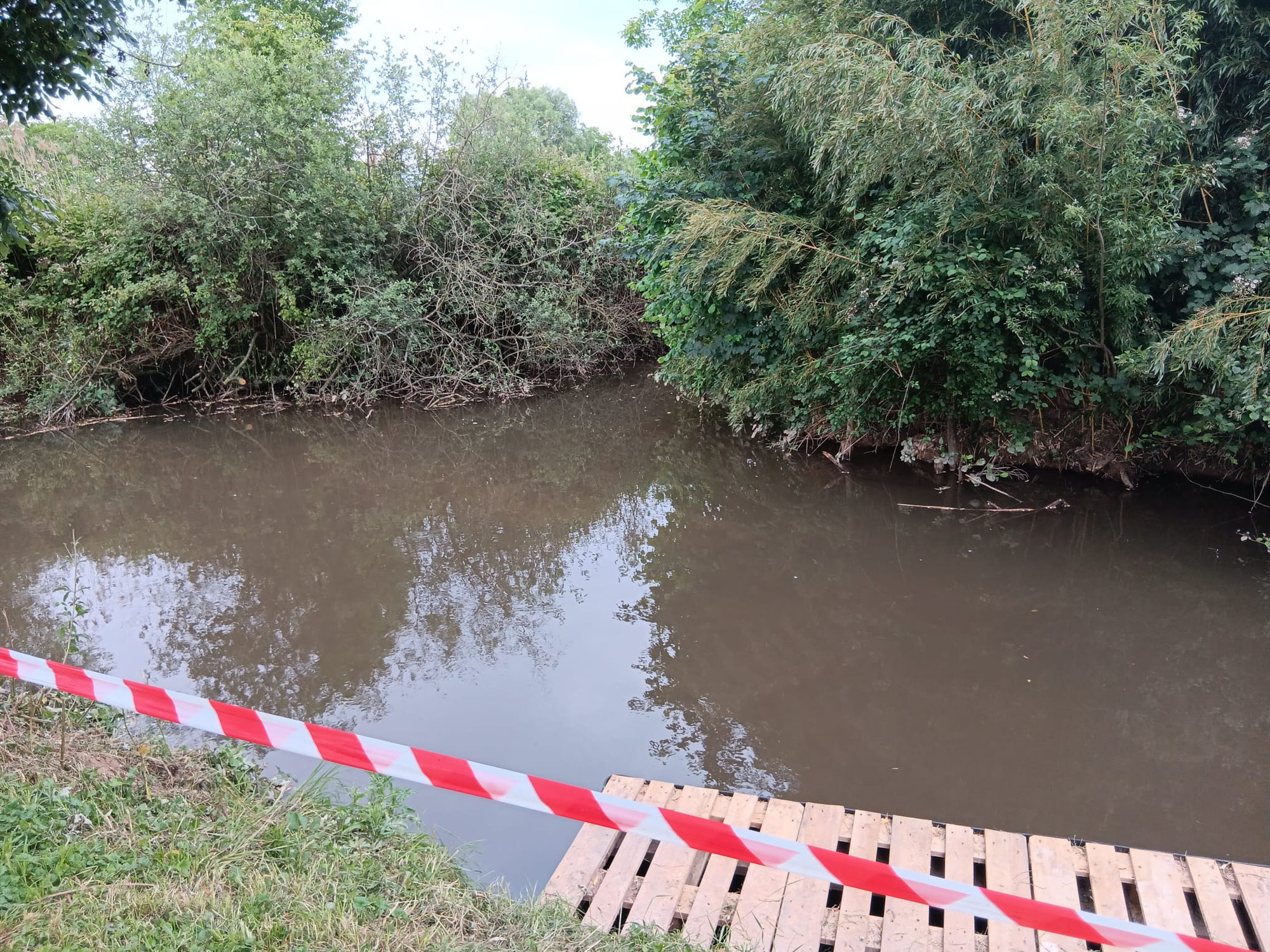UfeR - Vital - Neues Leben für die Schutter