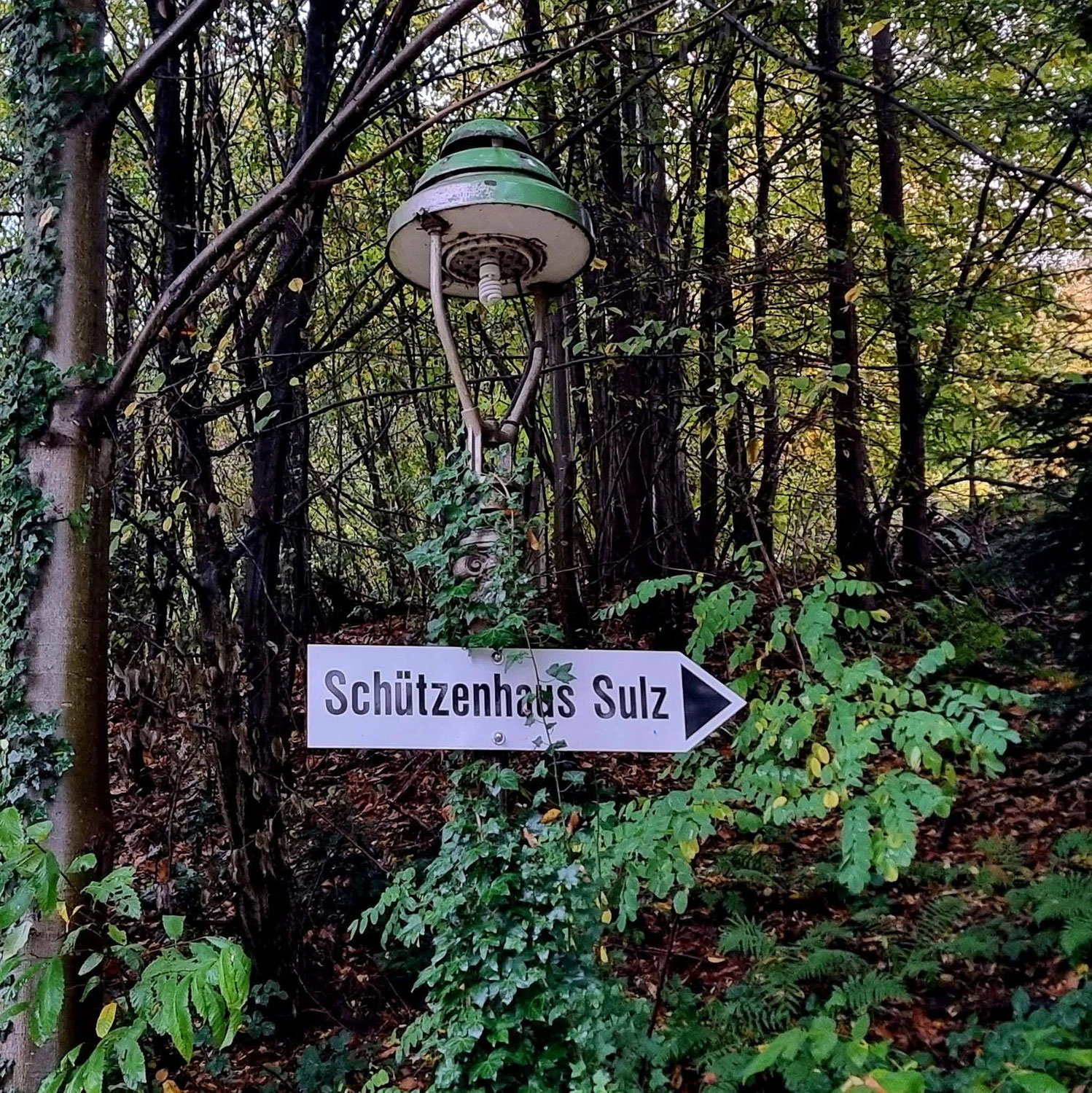 Warum ausgerechnet Cleopha in Sulz ? - Weil Sulz !