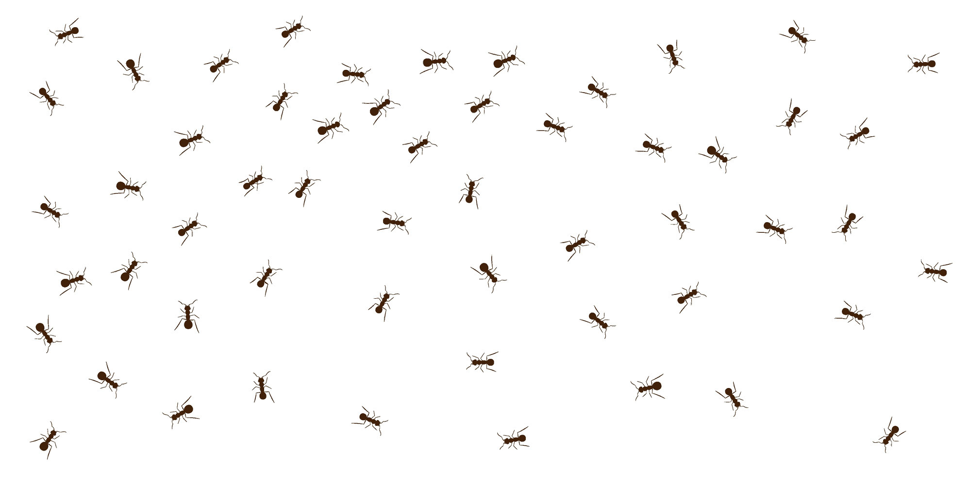 Determinism and Randomness in Simples Terms