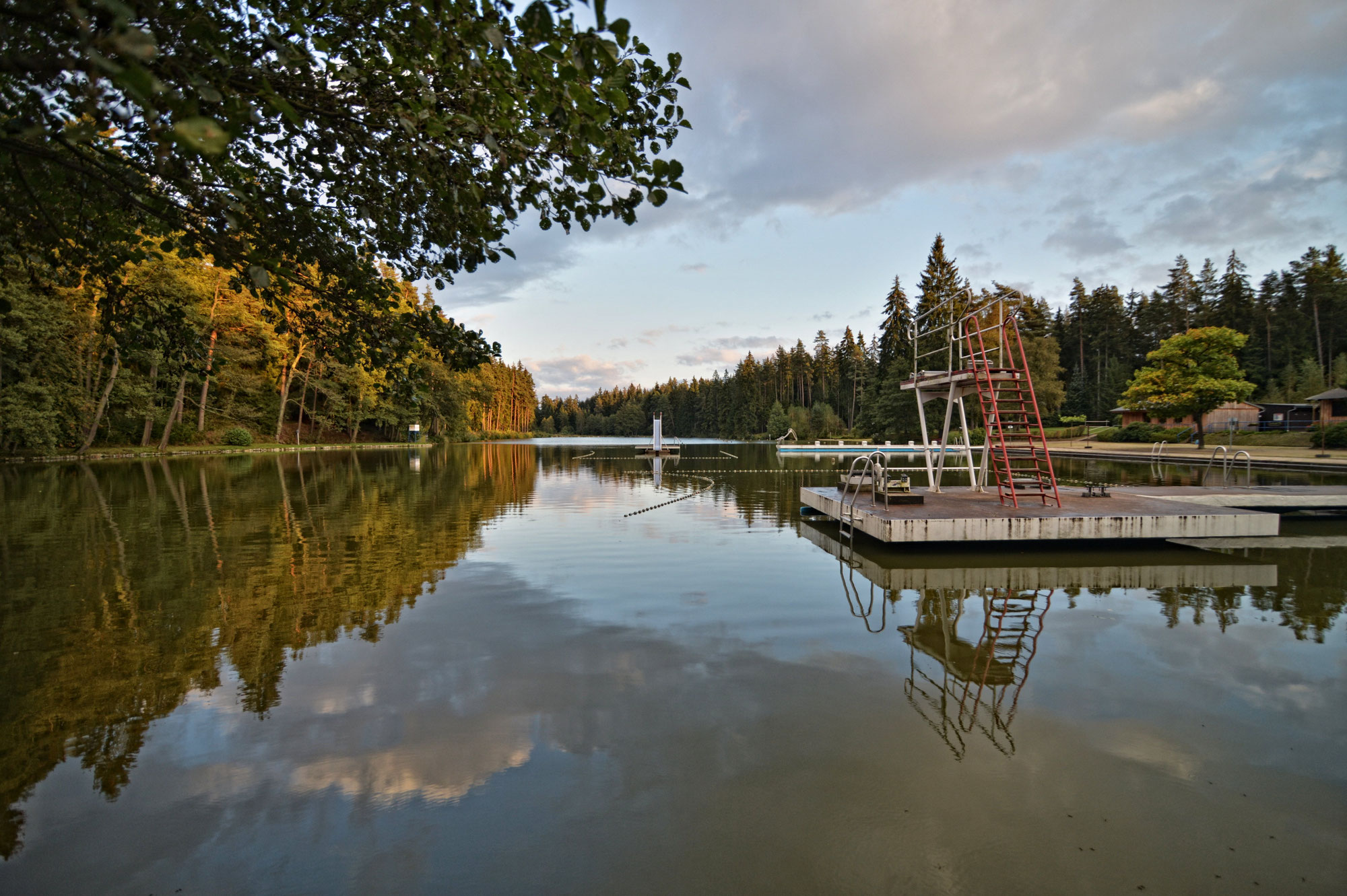 Förderverein Langer Teich e.V. Förderverein Langer Teich