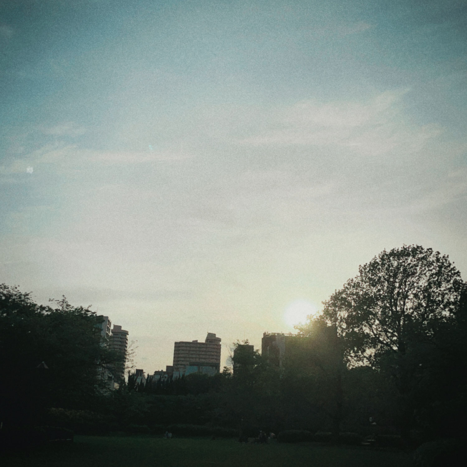【かん】夕方の猿江恩賜公園をお散歩