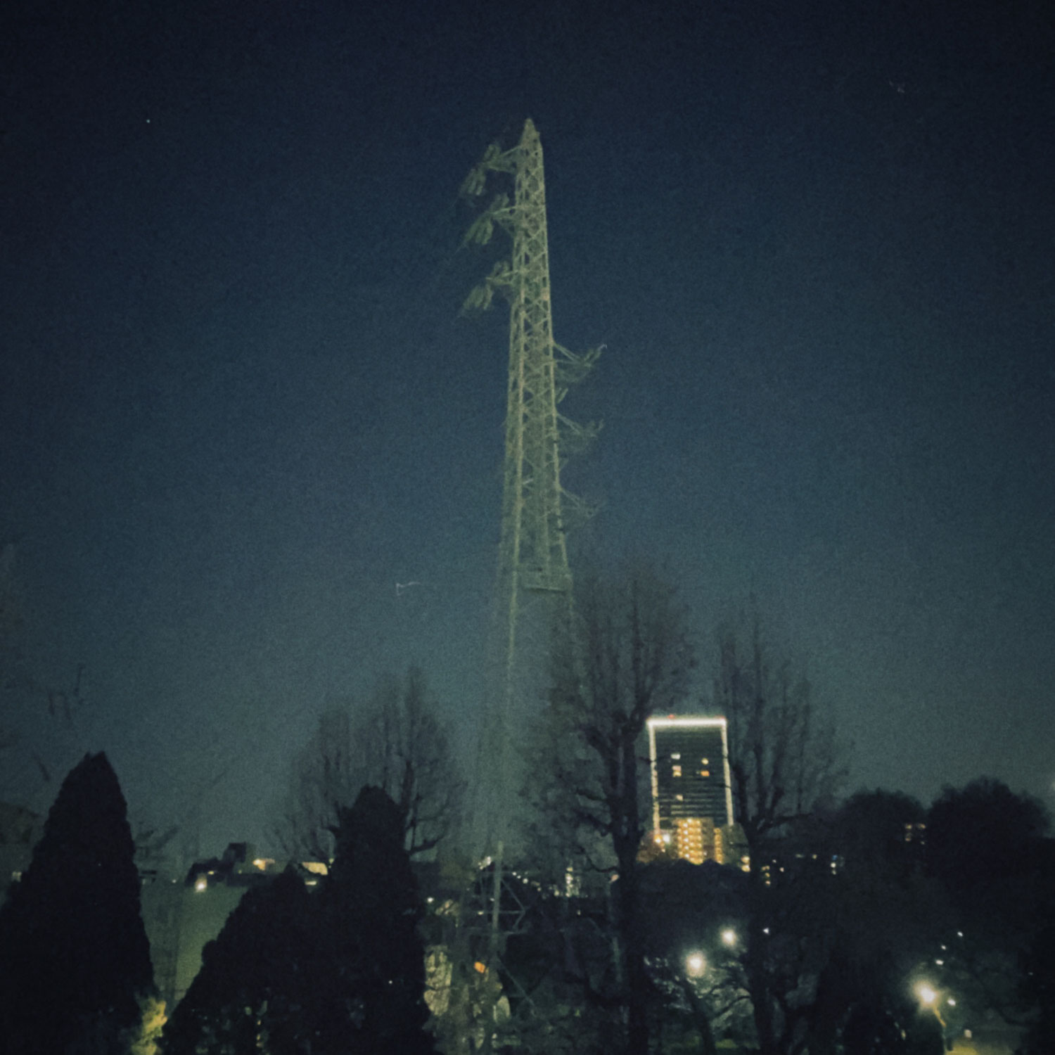 【かん】夕方〜夜の公園をお散歩